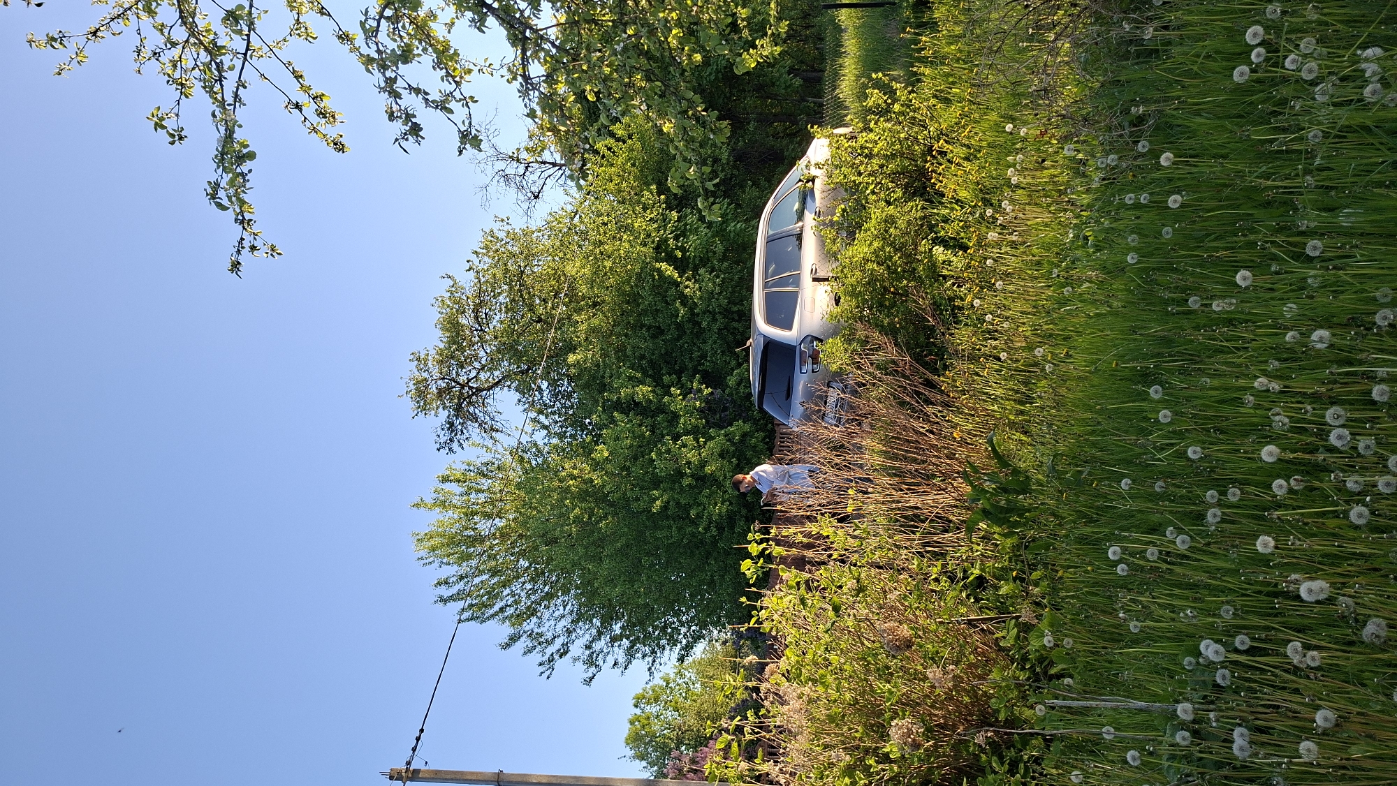 The image depicts a silver car parked amidst dense greenery in Сваткаўскі сельскі Савет, Belarus. A person in light-colored clothing is near the rear of the car, partially obscured by vegetation. Tall grass with dandelion seed heads fills the right side of the frame. Trees and shrubs surround the car, partially obscuring it. The sky is blue and clear in the upper left corner. A utility pole is visible in the lower-left corner.