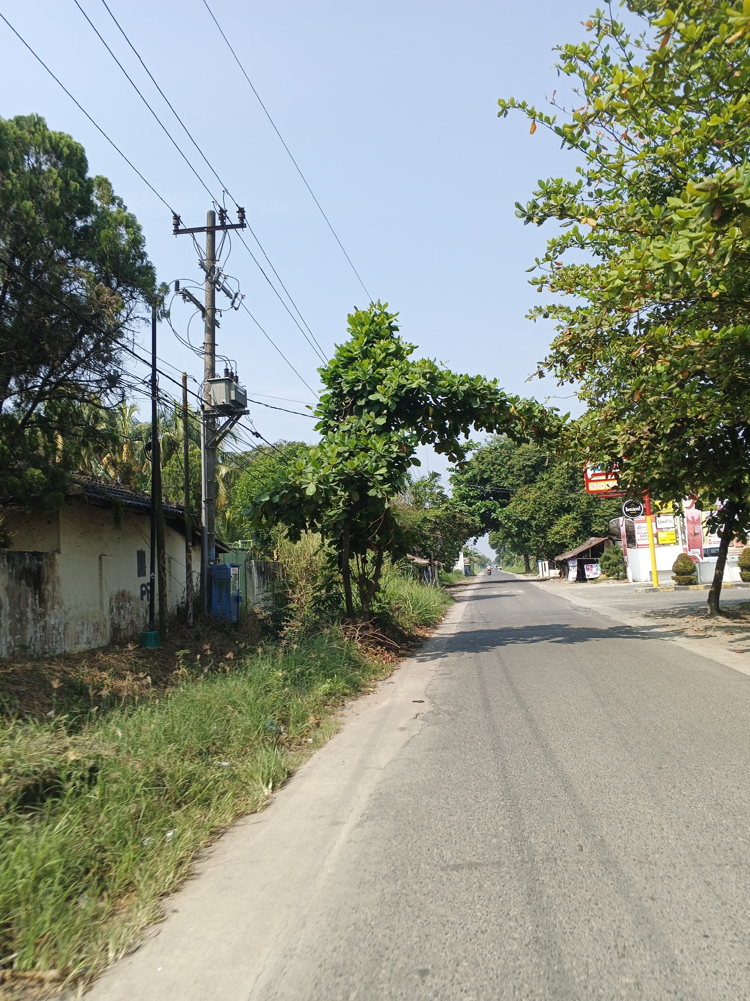 The image captures a street scene in Pekan Tanjung Morawa, Indonesia, under a clear blue sky. A paved asphalt road dominates the foreground, leading into the distance and bordered by vegetation and buildings. On the left side of the road, a weathered white building with a dark roof sits alongside overgrown grass and a utility pole with a transformer and electrical wires. Further down the road, trees with lush green foliage line both sides, with some branches extending over the road, creating a canopy effect. On the right side, a small, rustic wooden structure and several commercial signs, including one with the word "Bean!", are visible. A few distant figures are faintly discernible on the road. The environment appears to be a suburban or semi-rural area, with a mix of natural elements and man-made structures.