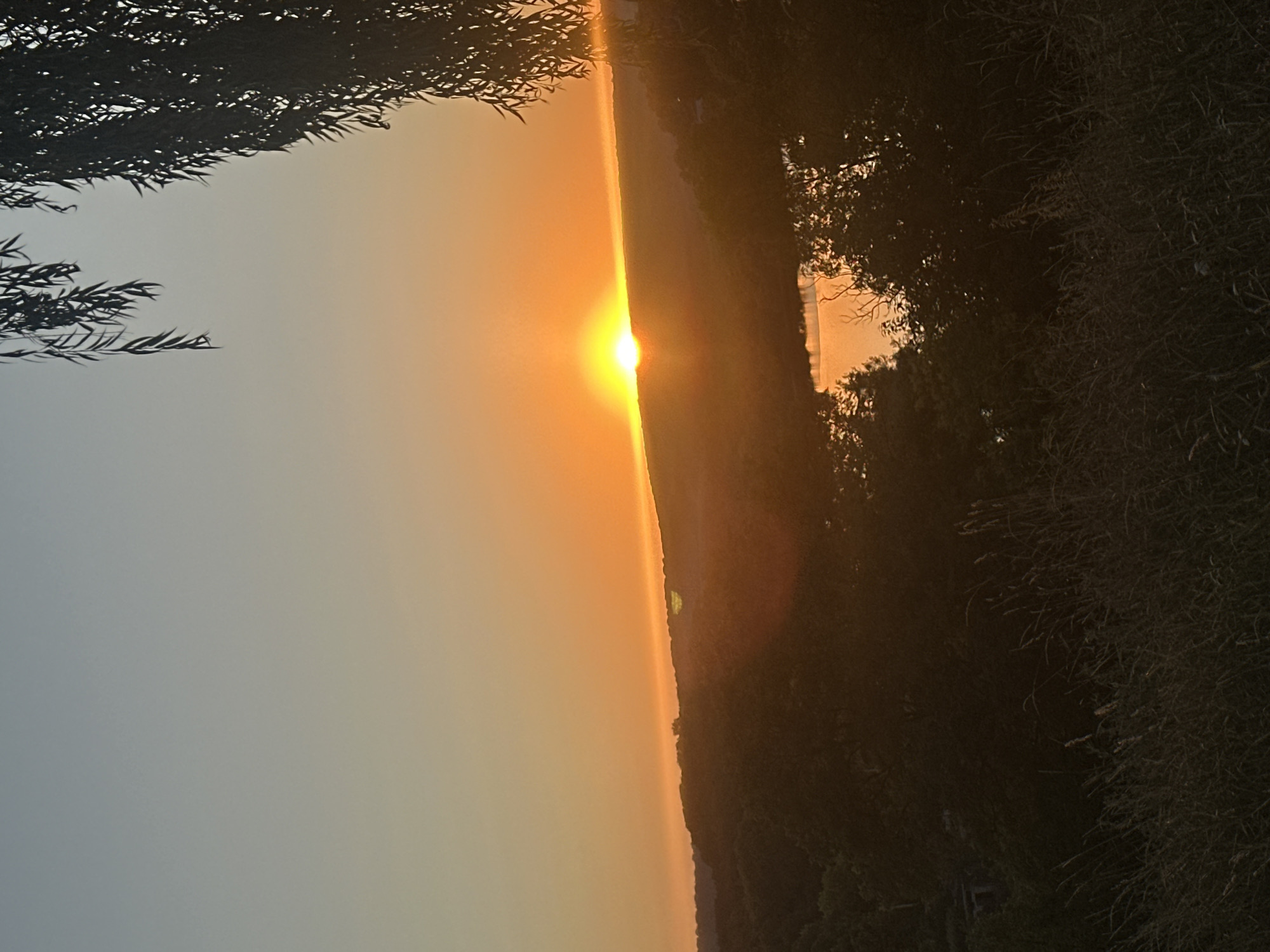 The image depicts a serene sunset over a landscape, likely near the city of Makiv, Ukraine. The sun, a bright orb of orange, is setting just above a silhouetted hill, casting a warm glow across the sky. The sky transitions from a pale blue at the top to a vibrant orange near the horizon. In the foreground, the dark silhouettes of trees and tall grass frame the scene. A body of water, possibly a river or lake, reflects the sunset's colors in the middle ground, surrounded by dense foliage. The overall impression is one of natural beauty and tranquility.