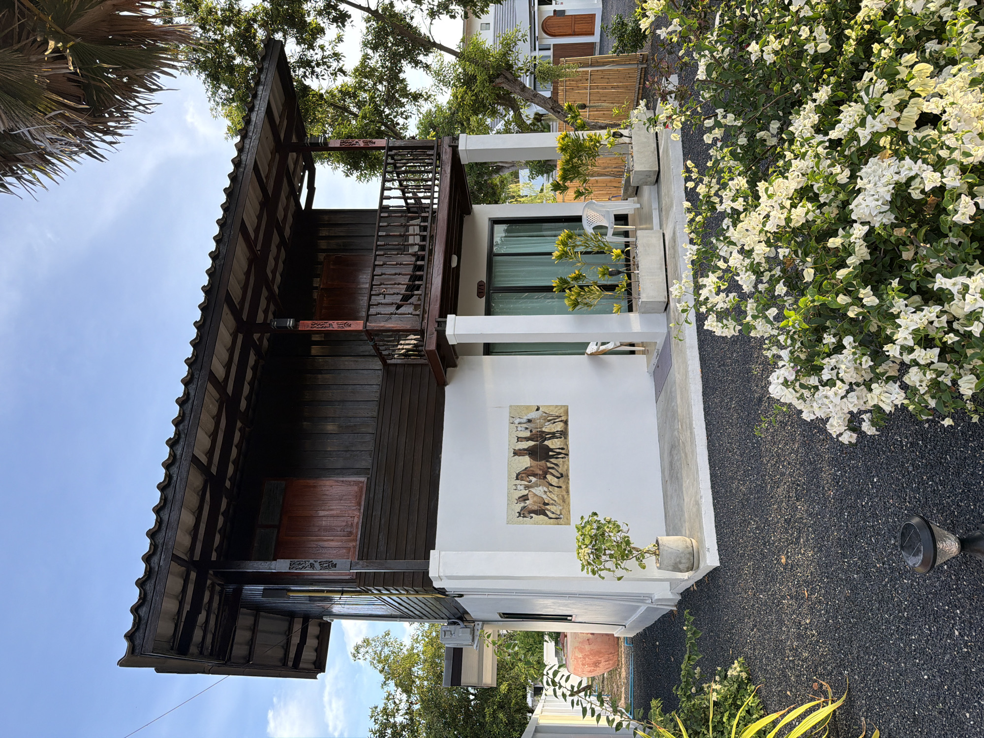 This media file depicts a traditional Thai-style house with a dark wooden exterior and a tiled roof. The house features a balcony with wooden railings and a staircase leading up. A painting of horses is mounted on the white wall of the lower level.
The scene is set outdoors, with lush green trees and bright white bougainvillea flowers framing the house. The ground is covered in dark gravel. A white plastic chair is visible on a small patio area. Other objects include potted plants, a large terracotta pot, and outdoor lighting fixtures.
The image appears to have been taken during the daytime, with the sun casting shadows and illuminating the foliage. The sky is a clear blue with some wispy clouds. The overall impression is one of a peaceful, tropical environment.
There is no visible text in the image, apart from the handwritten markings on the building (possibly room numbers) that are too small to be legible. The location context is Baan Plai Laem, Thailand.