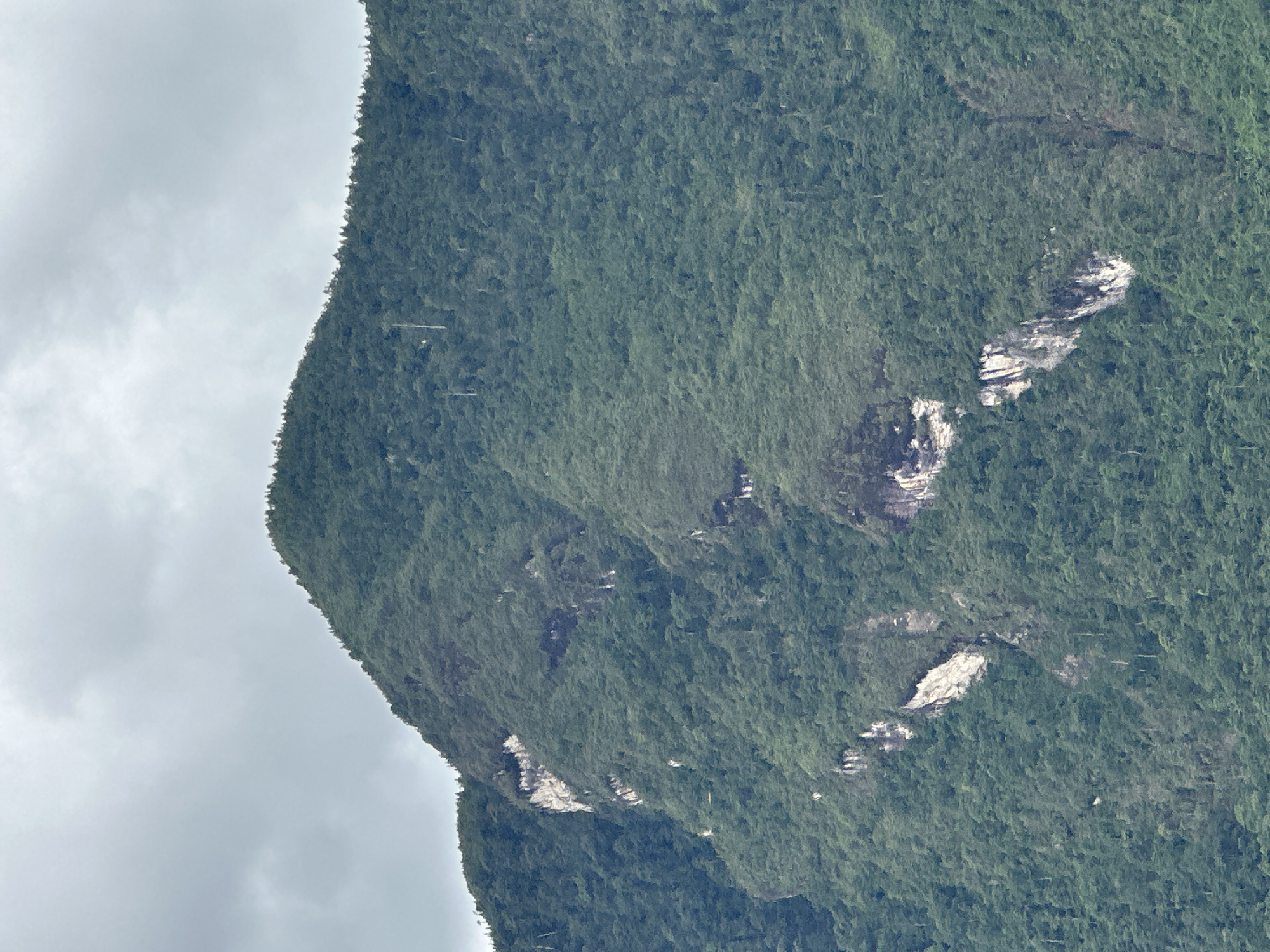 The image depicts a steep, green mountainside, likely located in the vicinity of Mường Hoa, Vietnam, known for its mountainous terrain. The mountainside is densely covered with vegetation, suggesting a lush, forested environment. Patches of bare rock are visible, indicating natural erosion or geological features. The sky is overcast, suggesting cloudy weather. The photo appears to be taken from a distance, possibly from another elevated location.