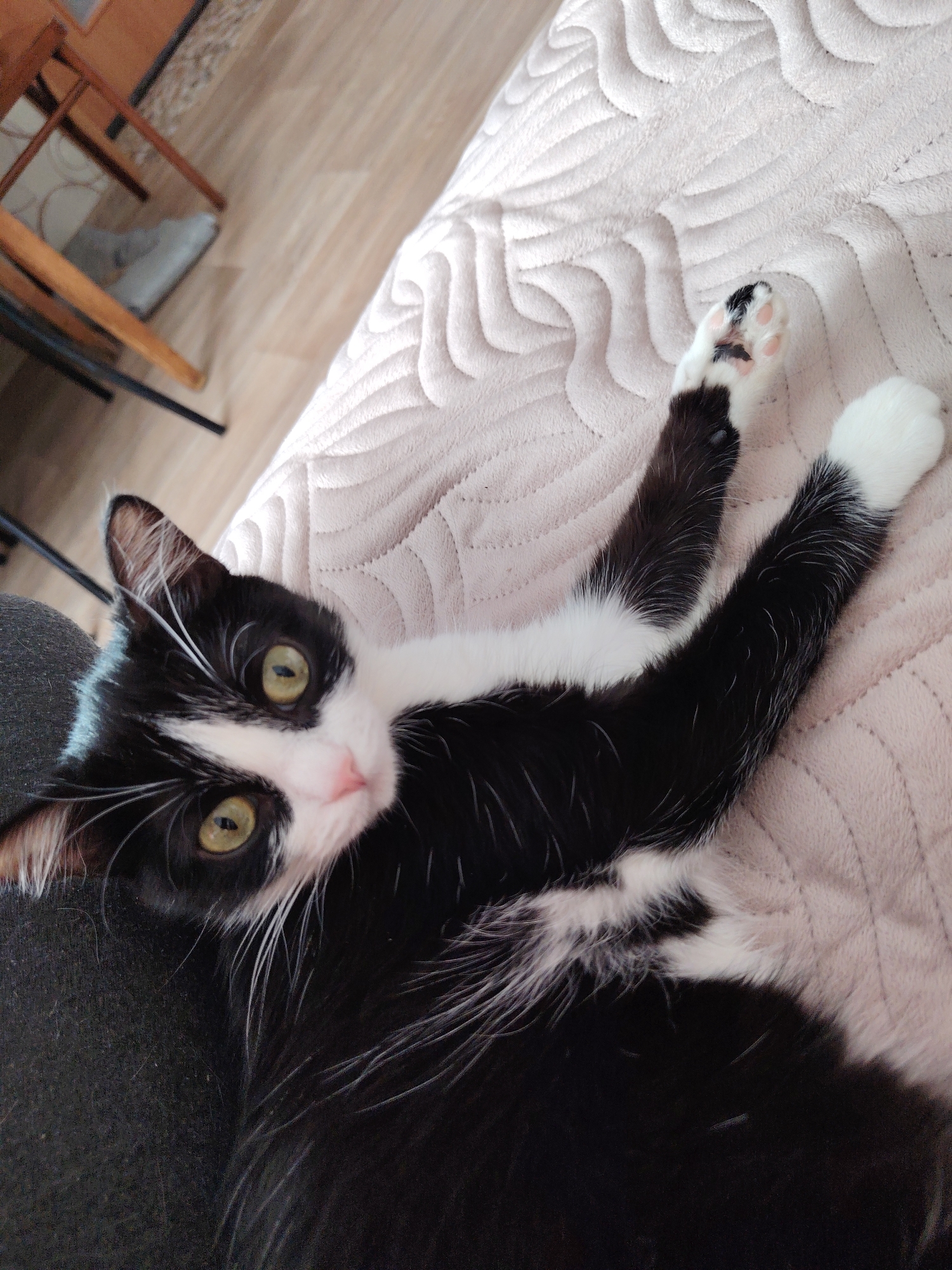 An indoor scene within a domestic setting in the city of Unknown, Unknown, depicts a black and white tuxedo cat lying on its back/side on a light beige, quilted blanket featuring a curvilinear relief pattern. The cat's fur is predominantly black, with white markings on its chest, belly, muzzle, and paws. Its bright green-yellow eyes, with narrow vertical pupils, are directed toward the viewer. A small pink nose is visible. The cat's front paws are extended upwards and outwards, displaying white fur with pink paw pads and dark claws. Its hind legs, also black with white fur on the lower sections, are partially visible. To the cat's immediate left, a dark, textured fabric is present. In the blurred background, light-toned wooden floorboards, the wooden legs of a piece of furniture (possibly a chair), and a patterned rug are visible. No human subjects are present in the image.