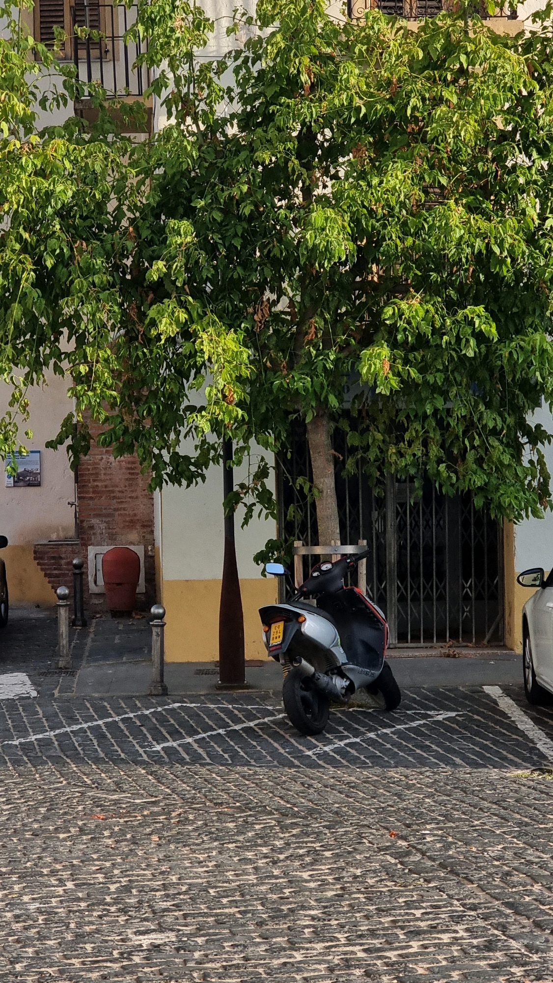 The image shows a scooter parked on a cobblestone street in front of a building in Sant Joan Les Fonts, Spain. A large tree with dense green foliage is in the foreground, partially obscuring a metallic gate behind it. To the left of the tree, a red cylindrical object is visible next to a brick wall. The scooter is silver and black with a license plate that appears to read "CQ 234 BKM". The street is paved with dark cobblestones, and white lines mark a parking space. The building in the background has white and yellow painted sections, and windows with metal bars are visible.