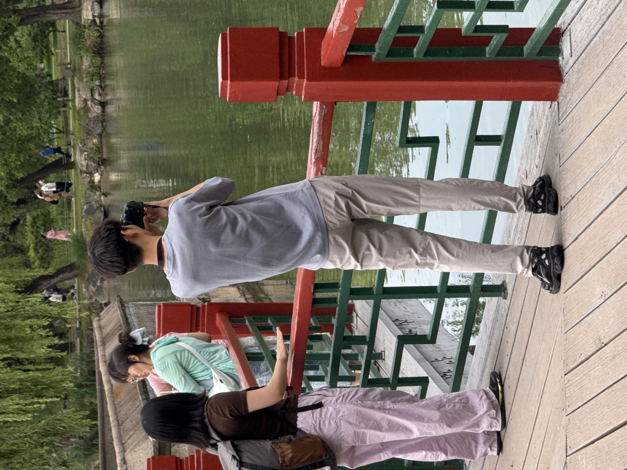 The image depicts a scene on a wooden bridge adjacent to a body of water within a park in Haidian District, China.
On the bridge, three individuals are visible in the foreground. On the right, a young male, viewed from behind, wears a light gray short-sleeved t-shirt, light khaki trousers, and black athletic shoes. He holds a black digital camera to his eye, aiming it towards the left, indicating he is photographing the scene. To his left and slightly forward, a young female, also viewed from behind, wears a dark brown short-sleeved t-shirt, light purple wide-legged trousers, and dark athletic shoes with yellow accents. A gray and brown backpack rests on her left shoulder, and her right hand is placed on the red railing of the bridge. Further left, partially obscured by the foreground female and the railing, a third young female faces left, wearing glasses, a light mint green long-sleeved top, and a white cross-body bag.
The bridge features a wooden plank walkway and a distinctive railing system composed of prominent red horizontal top bars and vertical posts, interconnected with a geometric pattern of green bars below. The red paint on the railing shows noticeable wear.
The bridge overlooks a calm body of water with a greenish hue, reflecting the surrounding environment. The opposite bank of the water is densely populated with lush green trees, including weeping willows whose branches extend towards the water. A stone embankment or retaining wall lines the far bank, behind which a walking path is visible. Several indistinct figures are seen walking along this path in the background, one appearing to wear a light pink dress. The overall environment suggests a recreational park setting.