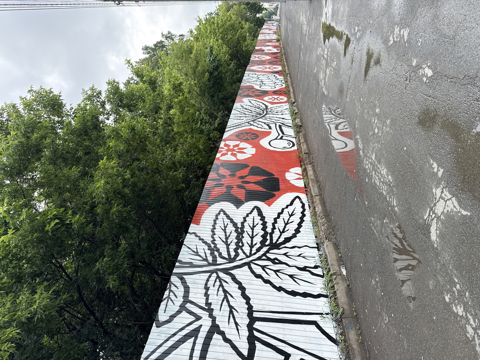 A long, corrugated metal fence, painted with a mural of large black and white leaves and red circular floral patterns, runs along the right side of a wet asphalt road. The fence is bordered by a concrete curb and sparse greenery. Trees with dense green foliage line the other side of the fence, obscuring the view beyond. The sky is overcast. In the distance, two figures, appearing to be women wearing white, walk away from the viewer along the road. Puddles of water on the road reflect the mural and the surrounding trees. The scene suggests a post-rain environment in an urban setting. This mural is located on the fence of the Izhevsk State Technical University named after M.T. Kalashnikov, specifically on the section adjacent to student dormitory number 5.