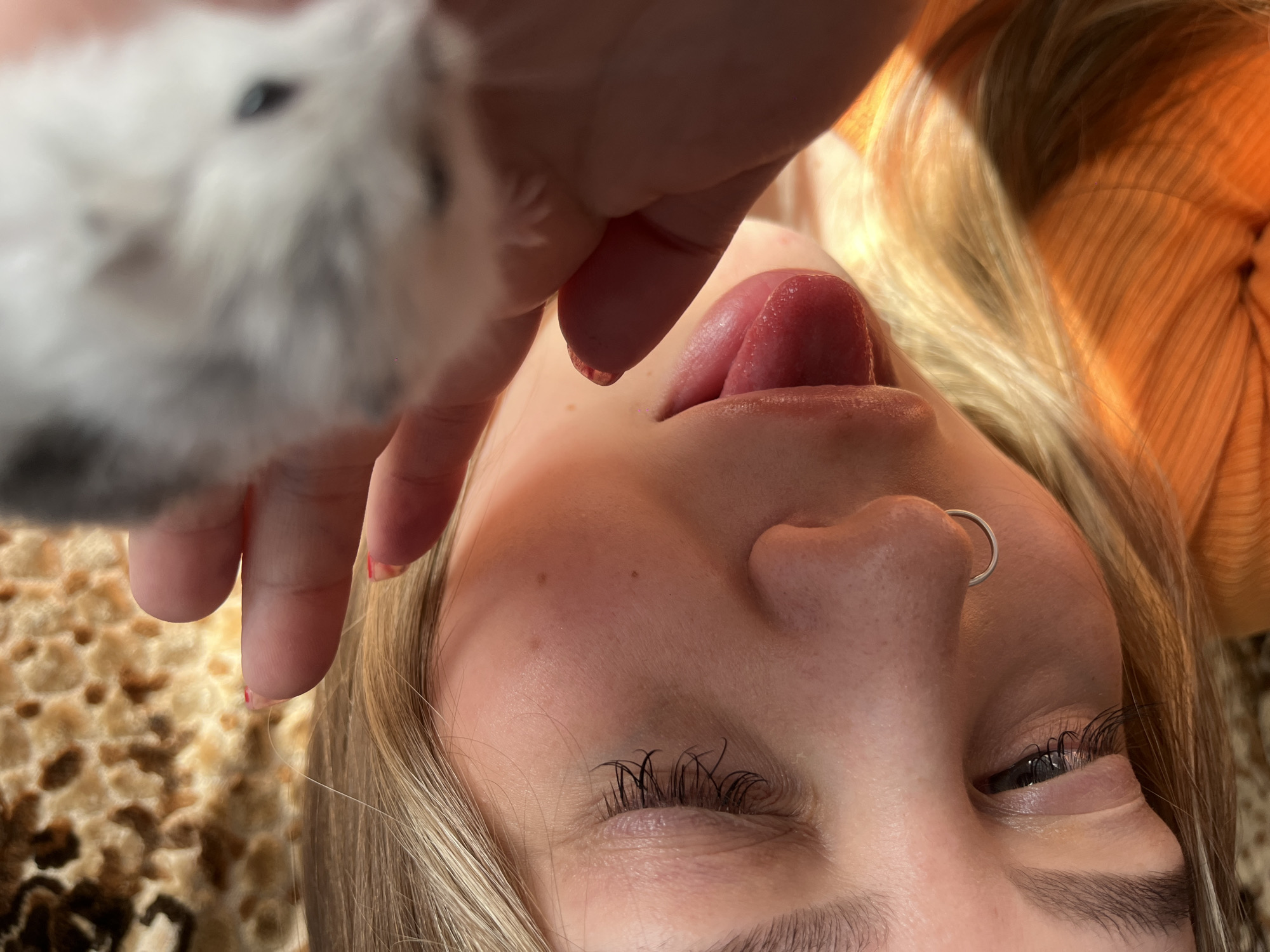 The media file is a close-up, inverted, and rotated photograph of a young person's face, with an animal, possibly a hamster, partially visible in the upper left corner. The person has blonde hair and is wearing an orange top. A ring is visible in their nose, and their tongue is extended, appearing wet and pink. The background consists of a textured surface, possibly a blanket or rug, and hints of blonde hair are visible to the right. The lighting suggests an indoor setting, possibly during the day. The image focuses on the face with the eyes closed, and the animal appearing to be interacting with the person's mouth area. There is no visible text.
