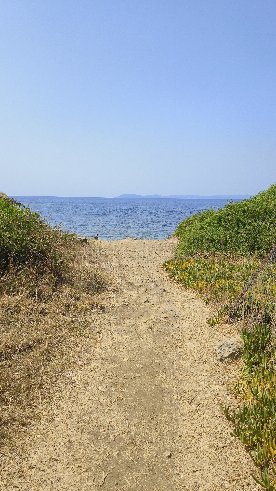 The image depicts a dry, sandy path leading towards a calm, blue body of water under a clear, pale blue sky. The path is flanked by dry, straw-like vegetation on the left and lush green bushes and succulents on the right. In the distance, across the water, a hazy landmass is visible on the horizon. A solitary figure, appearing to be sitting or crouching, is positioned near the water's edge, partially obscured by vegetation. The scene suggests a natural, possibly coastal environment.