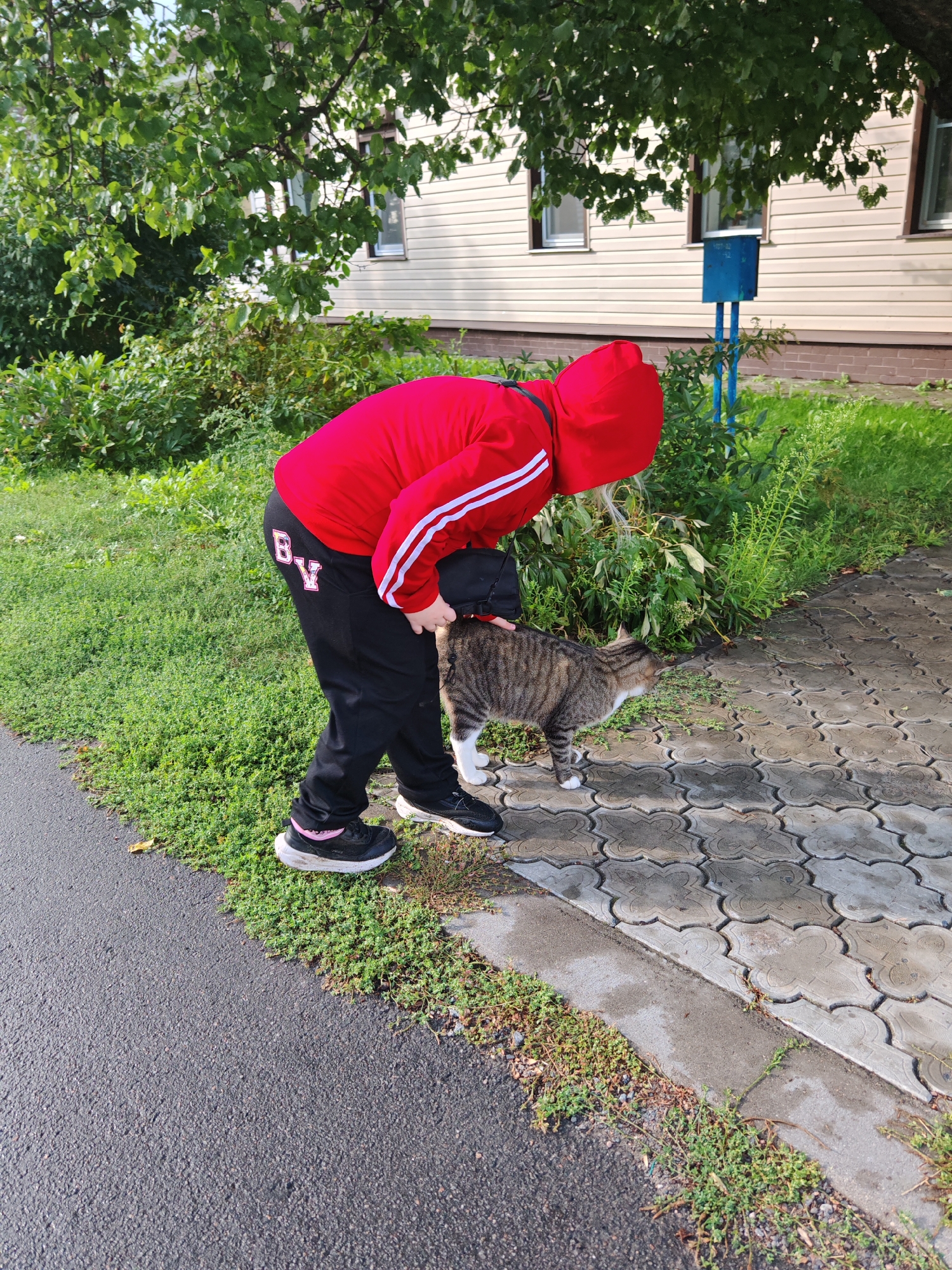 A person wearing a red hooded sweatshirt and black pants with white stripes on the side, bends down to pet a tabby cat. The person has on black sneakers with pink accents. The cat is striped with white paws and chest. They are standing on a grey paved walkway next to a grassy area. In the background, a light-colored building with dark-trimmed windows is visible, as is a blue mailbox. The scene appears to be in a residential area of Homyel, Belarus, likely an apartment complex courtyard.
