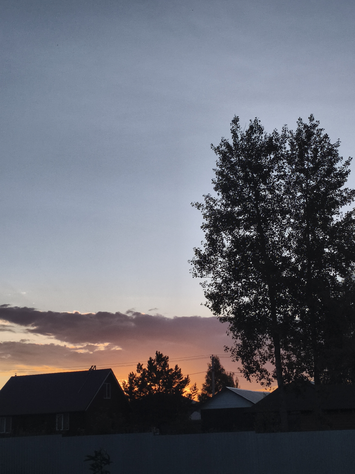 The image depicts a rural sunset scene in Русский Вожой, Russia. The sky is a gradient of colors, transitioning from a pale gray at the top to oranges and pinks near the horizon, indicating it is dusk. Dark silhouettes of trees, houses, and a fence dominate the foreground.
On the left, a dark house with a peaked roof is visible, with two small windows on its front face. Behind it, the vibrant orange of the sunset is visible through a cluster of pine trees, whose silhouettes are also dark. To the right of the pine trees, a few more trees with a lighter foliage silhouette are visible against the sunset.
Dominating the right side of the image is the silhouette of a large, leafy tree, its branches reaching high into the sky. Further to the right, more house roofs are silhouetted against the sky, and a dark fence runs along the bottom of the frame. The overall mood is tranquil and serene, characteristic of a peaceful evening in the countryside. There is no visible text in the image.