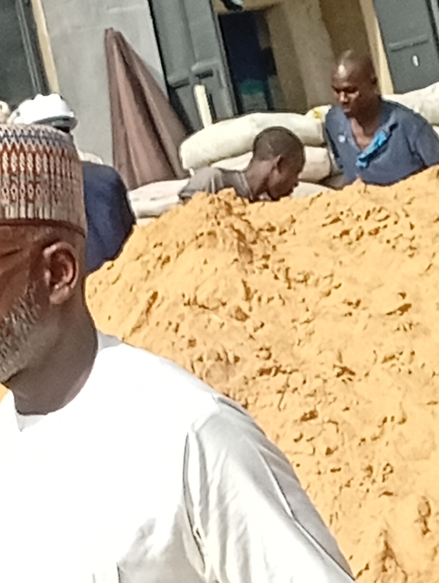 In Maiburiji, Nigeria, the image presents three men amidst an outdoor setting. The foreground features the partial view of an older man, characterized by a grey beard and wearing a traditional cap, clad in a white shirt. Behind him, a large mound of yellow-tan material dominates the center of the scene. Further back, two additional men are visible; one crouches near the mound, while the other, wearing a blue shirt, is positioned in the background. White sacks are stacked behind the two men in the rear. The environment also includes building structures.