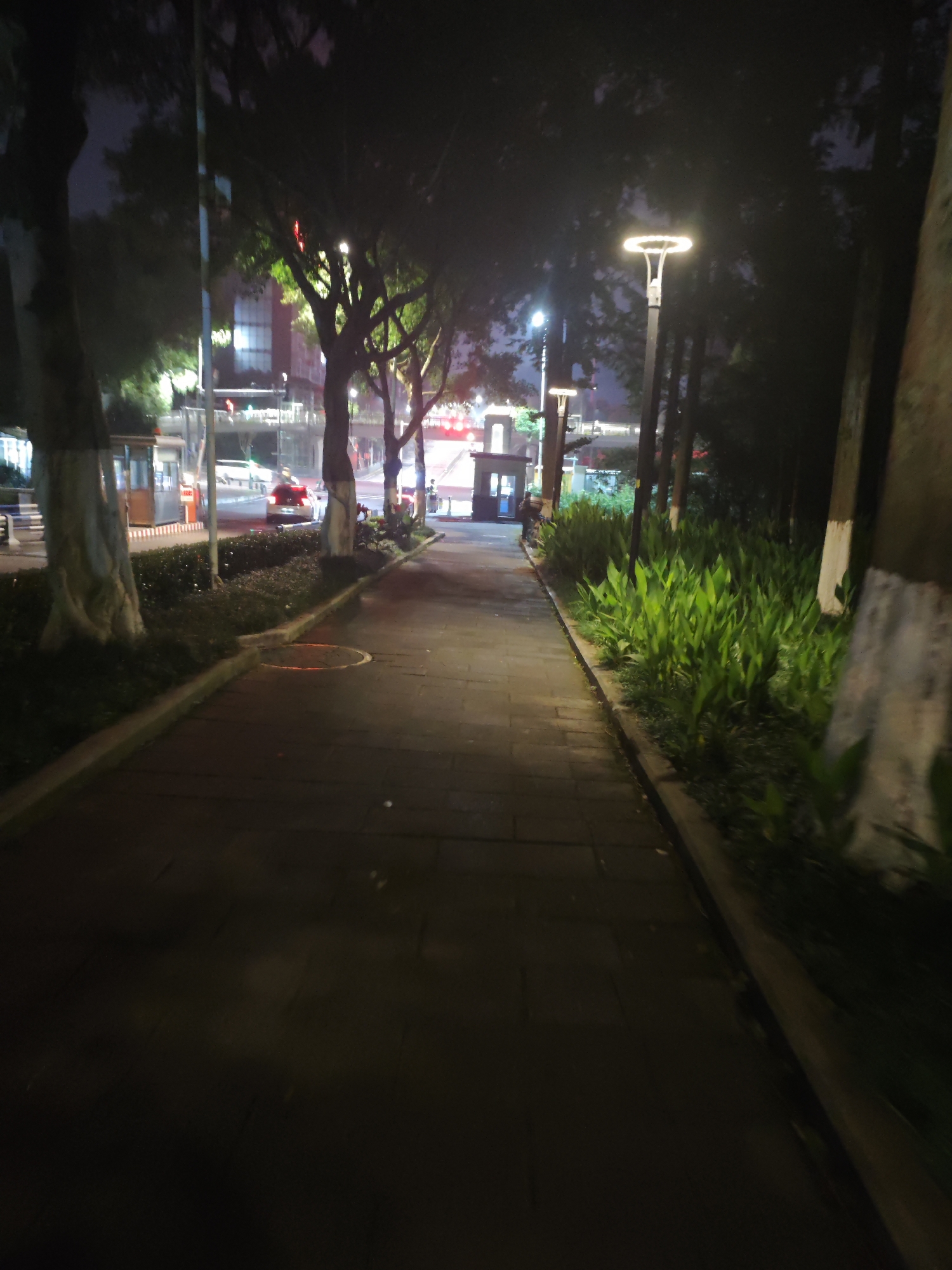 This is a nighttime photograph of a paved pedestrian walkway in the city of Chongqing High-tech Zone, China. The walkway is bordered on the left by trees and a building with illuminated windows in the distance, and on the right by a well-lit garden bed filled with lush green plants and trees. A modern lamppost with a halo-shaped light illuminates the walkway from the right side. Further down the walkway, another similar lamppost is visible. On the left side of the walkway, near a tree, there is a small, booth-like structure, possibly a security or information kiosk. Traffic lights are visible in the background, suggesting the presence of a road nearby. A red car is parked on the side of the road in the middle ground. The overall scene is dimly lit, with the artificial lights creating stark contrasts and long shadows.