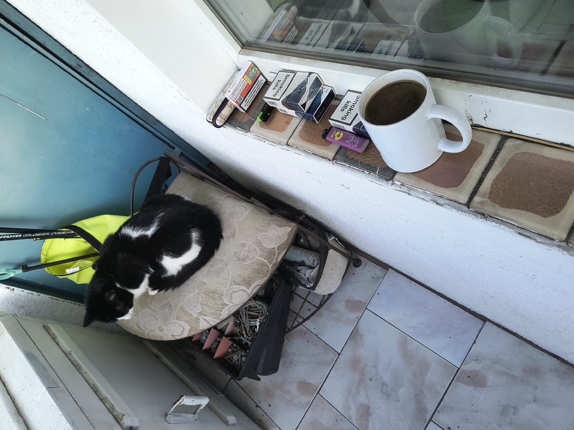 A black and white cat is curled up on a cushioned stool next to a plastic container filled with hardware. On the ledge of a window, several packs of cigarettes, lighters, and a mug of coffee are visible. The scene appears to be outdoors on a balcony or patio.