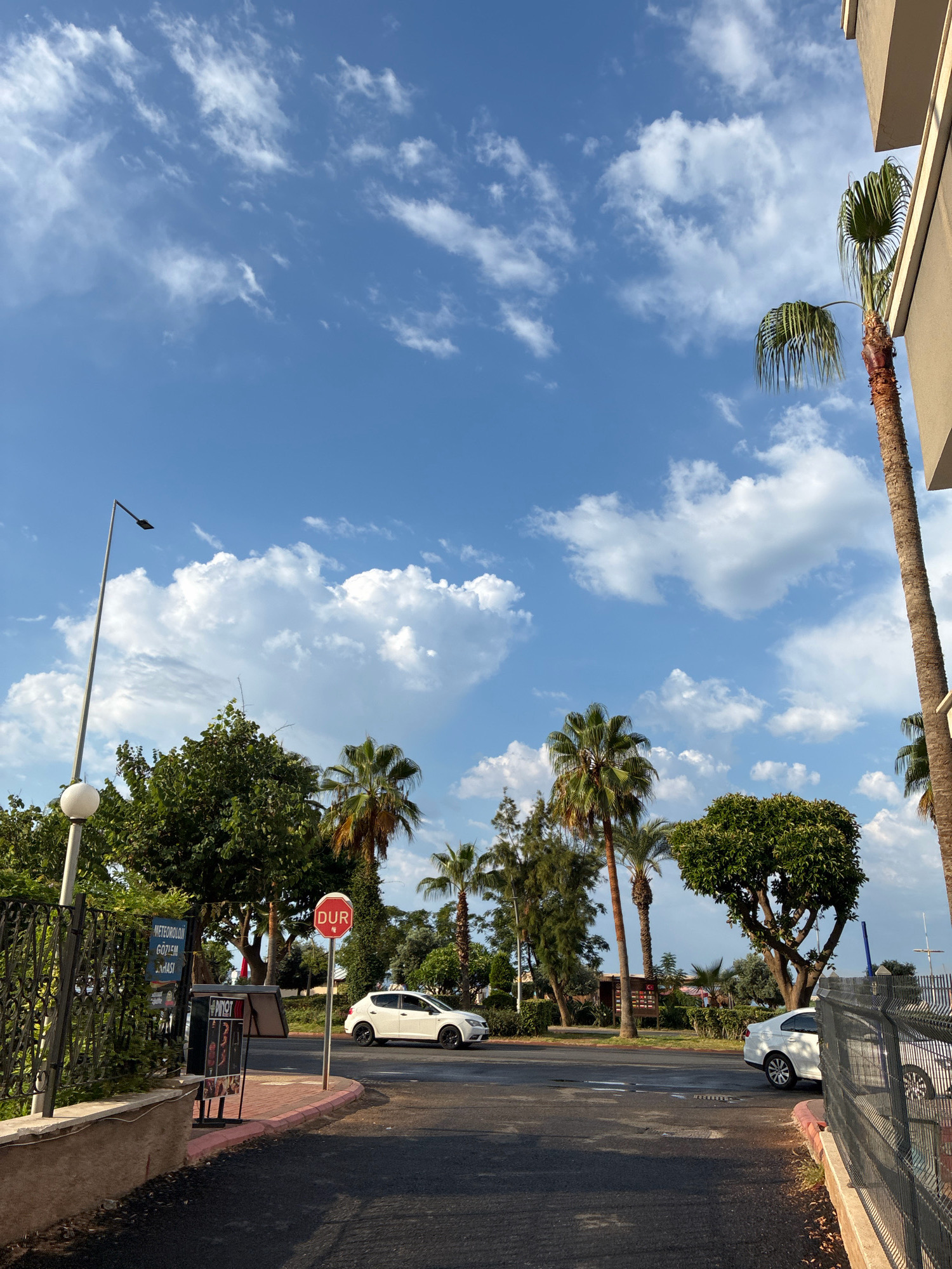 The image depicts a street scene in Alanya, Turkey, under a partly cloudy blue sky. In the foreground, a paved road runs diagonally from the bottom center towards the right. To the left, a gray fence with a white post and a spherical light fixture stands beside a concrete wall. Behind the fence, a sign reads "METEOROLOJI GÖZLEM İSTASYONU," indicating a meteorological observation station. A black display stand with advertisements is also visible.
Further into the scene, a white sedan is parked and another is driving on the road. Palm trees are prevalent, with one tall palm tree on the far right, its fronds reaching towards the sky. Another group of palm trees and various green trees are scattered throughout the midground. A red and white "DUR" (Stop) sign is positioned on a pole near the road.
The background shows more greenery and hints of buildings, suggesting an urban or resort setting. The sunlight casts shadows, indicating it is likely daytime, possibly late afternoon given the warm light. The overall atmosphere is tropical or subtropical, consistent with Alanya's location.