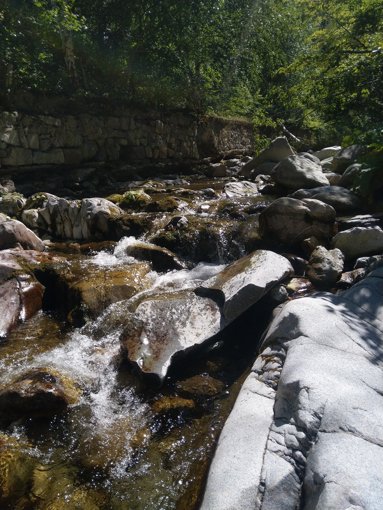 The image depicts a shallow, fast-flowing stream in a natural setting, likely a gorge or rocky ravine. The stream bed is comprised of numerous rocks of varying sizes, many of which are smooth and water-worn. The water itself is clear, with sunlight glinting off its surface, creating a dynamic, sparkling effect as it cascades over the stones. Lush green foliage, characteristic of a forest environment, dominates the upper portion of the image, with dense trees forming a canopy overhead, casting dappled shadows on the rocks and water. In the background, a man-made stone wall, constructed from roughly hewn rocks, runs along the bank, suggesting the presence of human modification to the natural landscape. The overall scene evokes a sense of wildness and natural beauty, a secluded spot where water and stone have shaped the terrain. The location is Garliano, Bulgaria.