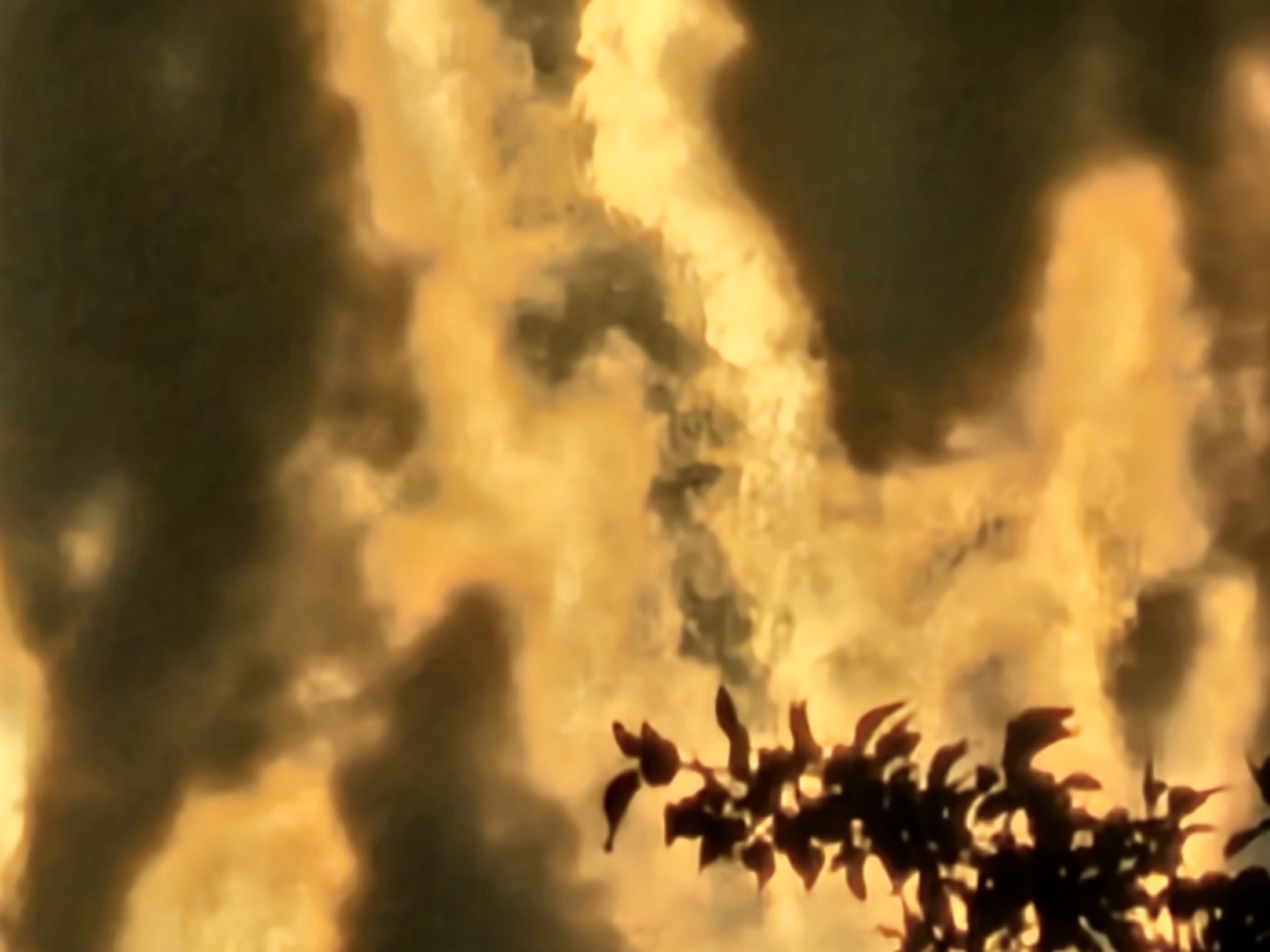 This is a close-up, low-resolution, motion-blurred photograph of a silhouette of a plant or tree branch against a bright, hazy, golden-orange sky filled with dark, swirling clouds. The dark silhouette of the plant is on the left side of the frame, with its leaves appearing as dark, abstract shapes. The sky is textured with streaks and patches of light and dark, suggesting movement and depth. The overall impression is of a dramatic sky, possibly during sunset or sunrise, viewed through a natural element. The location in Khimki, Russia, cannot be determined from the visual information provided in the image.
