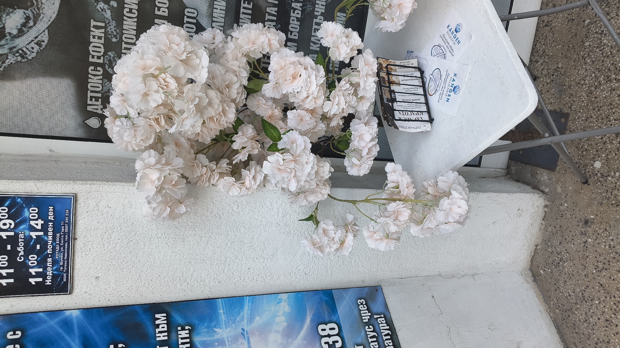 The image shows a white table with a metal stand holding several small booklets or pamphlets, situated outdoors in front of a white building. A large bouquet of light pink artificial flowers cascades down from the left side of the frame, partially obscuring the building's wall. To the left of the flowers, a blue sign with white text is visible, featuring what appears to be Cyrillic lettering and the number "38". Directly above the flowers, a dark sign with white text is affixed to the building's wall, displaying opening hours for the business. The sign indicates that on Saturdays, the business is open from 11:00 to 14:00, and refers to Sunday as a "day of rest". It also lists an address: "гр. Шумен, ул. Света Гора 11" (Shumen City, Svetа Gora Street 11), and a phone number. The ground beneath the table is a textured concrete surface. The scene is likely part of a commercial establishment in the city of Shumen, Bulgaria, given the address information.