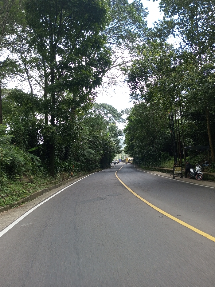 The image depicts a paved two-lane road winding through a densely vegetated, possibly mountainous, area in Boommlog, Bhutan, under an overcast sky. The asphalt road curves gradually to the right in the mid-ground. A solid yellow line marks the center of the road, indicating traffic flow or a no-passing zone, and a solid white line defines the left shoulder.
On the left side of the road, a steep embankment is covered in lush green foliage, including tall trees with dense canopies and various undergrowth, some featuring broad, banana-like leaves. A concrete curb with a white painted edge separates the road from the vegetation.
On the right side of the road, dense greenery lines another embankment. Approximately one-third into the frame, a white scooter or motorcycle with black accents is parked on the shoulder, facing towards the foreground. A dark-clothed individual stands beside the scooter, facing the road. Behind them is a rectangular sign, primarily white, with vertical poles, displaying partially legible text that includes "AYAM KAMPUNG" and "BAKAR," suggesting a food establishment. Adjacent to this sign, a dark, tarp-like structure is visible, extending over a small area. Further down the road, in the distance, several vehicles, possibly trucks or buses, are visible on the curved roadway, which is bordered by continuous dense vegetation. The environment is heavily forested, with numerous tall trees forming a canopy over parts of the road.