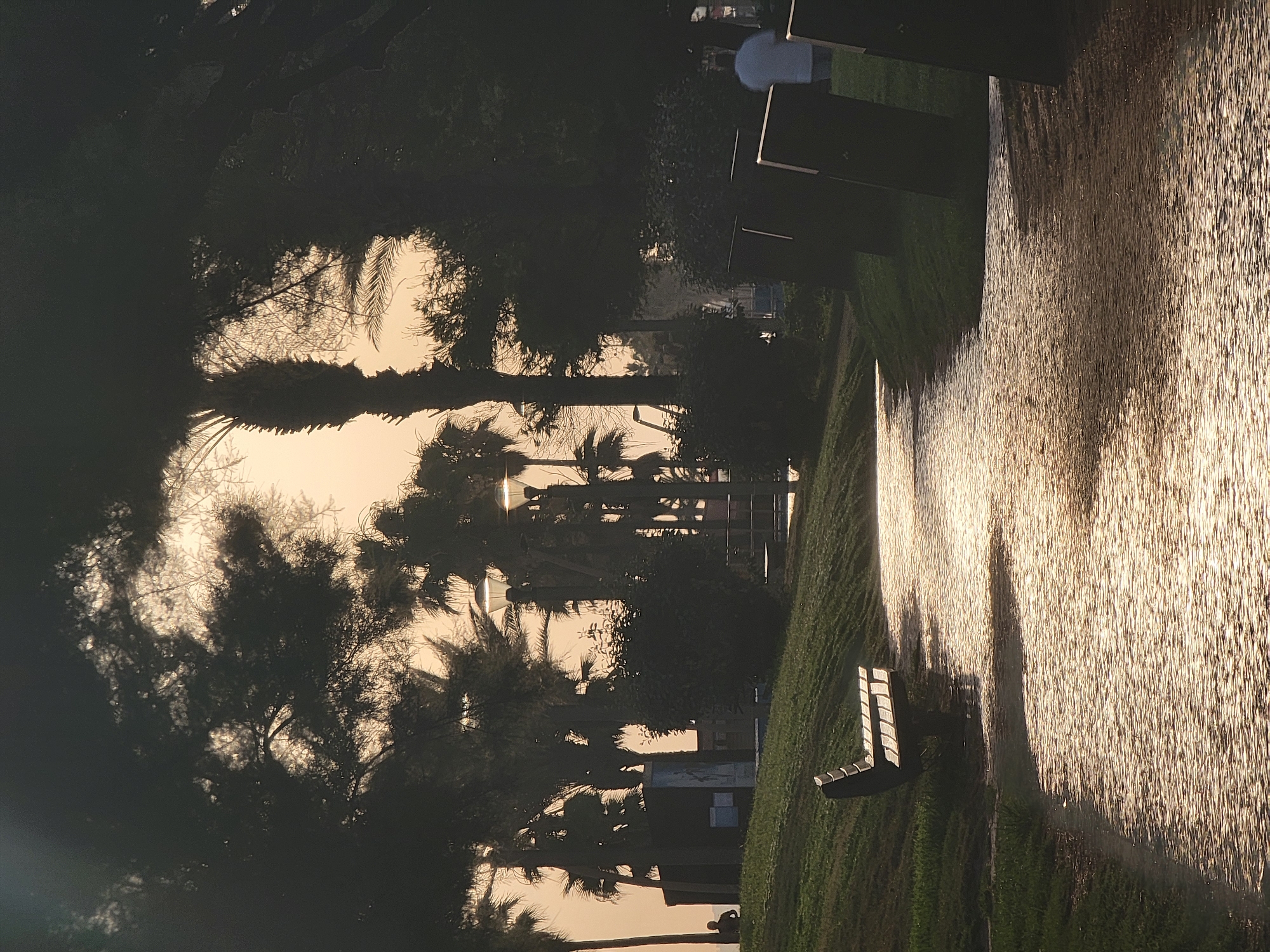 A paved pathway curves through a park in Quarteira, Portugal, illuminated by the soft glow of sunset. Palm trees and other lush vegetation line the path, casting dappled shadows. A wooden bench sits on a grassy incline to the left of the path, and several dark trash receptacles stand to the right. In the distance, a lone figure can be seen seated on the grass near a bulletin board. Further down the path, two streetlights cast a warm glow, and a person in a white shirt walks away from the camera. The sky is a pale orange, indicating the end of the day.