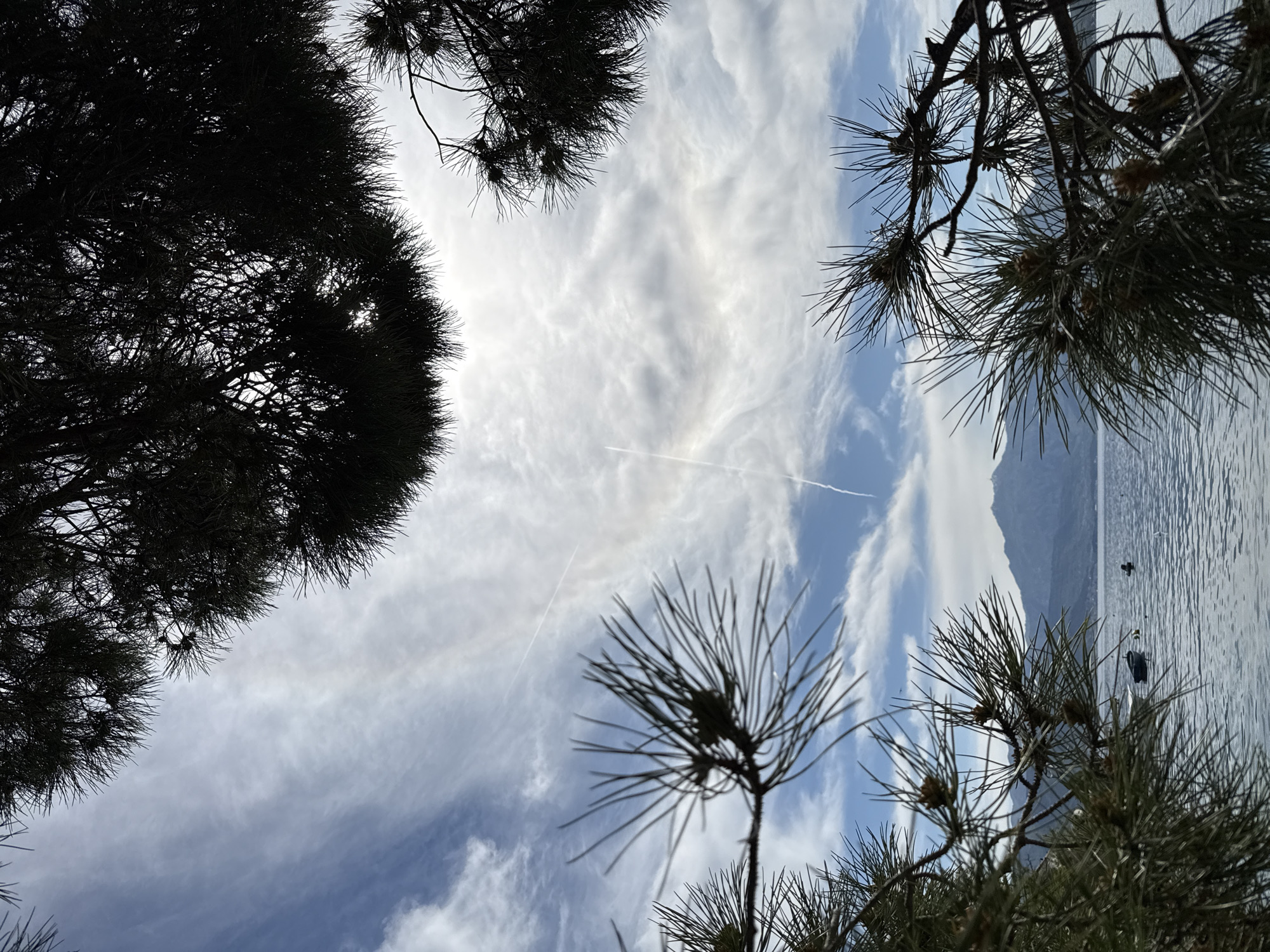 The image presents an upward-looking view through the dark silhouettes of pine trees, revealing a partly cloudy sky, a body of water, and distant mountains. The setting is Đenovići, Montenegro.
In the foreground, the dense, intricate networks of dark pine branches and needles frame the scene from the left, top, and bottom-right corners. Their forms are silhouetted against the brighter background, with some pinecones visible on the branches towards the lower right.
The central and upper-left portions of the frame are filled with a bright, partially cloudy sky. Wispy, white cirrus or altocumulus clouds stretch across patches of blue. Two faint, linear airplane contrails are discernible, cutting across the sky from left to right. A subtle, circular halo of light is visible within the clouds, suggesting the sun's position behind them.
To the right, a calm body of water, likely the Bay of Kotor or the Adriatic Sea, extends horizontally. Its surface reflects the sky, appearing rippled. Two indistinct, dark shapes—possibly small boats, kayaks, or birds—are visible on the water. Beyond the water, distant mountains rise towards the sky, their outlines softly defined against the bright light.
The scene depicts a tranquil daytime moment, characterized by natural elements and diffused sunlight. No people or visible text are present.