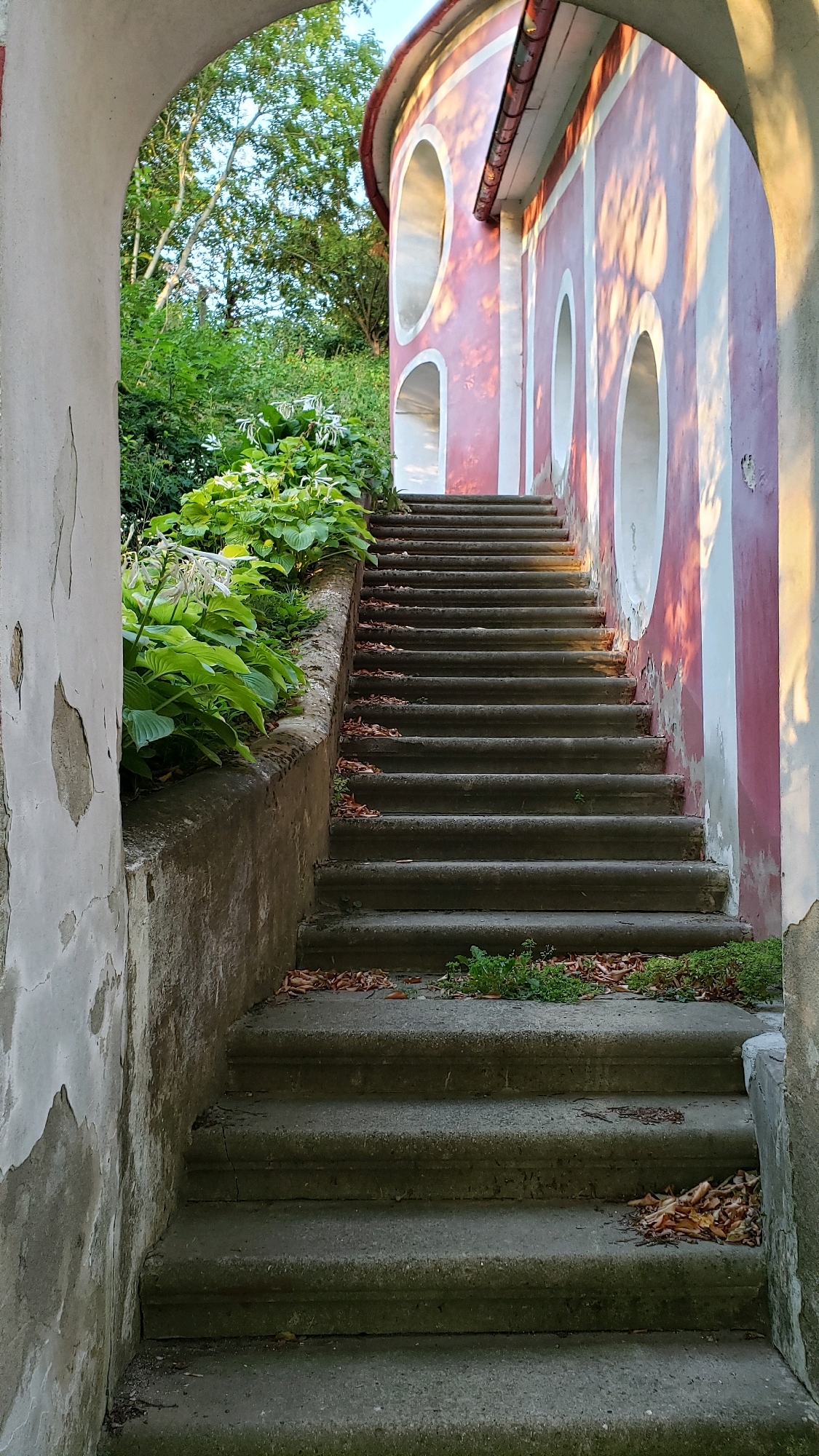 An outdoor, vertical, eye-level shot features a wide, weathered stone staircase leading upwards and to the right, framed by an arched opening on the left and the side of a pink and white building with oval windows on the right. Lush green foliage, including large-leafed hostas and white flowers, grows along the left side of the staircase, bordering a stone retaining wall. Scattered autumn leaves are visible on the steps and the surrounding ground, suggesting a season of transition. The building's facade is partially illuminated by warm sunlight, casting shadows of foliage and architectural details onto its surface. The overall scene evokes a sense of historical charm and overgrown nature. This image was taken at the amphitheater in the city of Prešov, Slovakia, a structure known for its distinctive architecture and integration with the surrounding landscape.