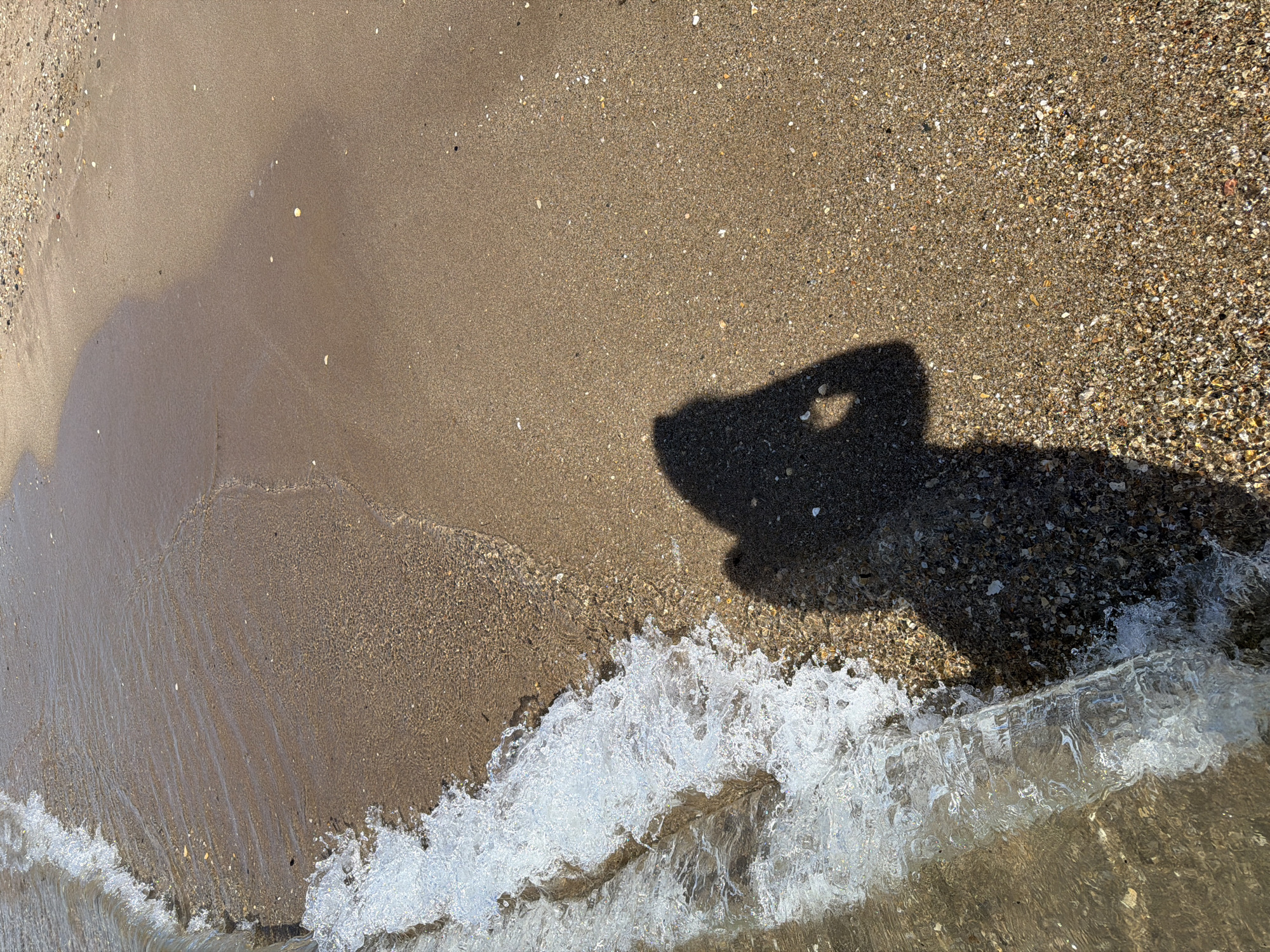 The image shows a shadow of a person holding a camera at a beach in Sérignan, France. The shadow is cast on the sand, which is wet from the receding waves. The water is clear and shallow, and the sand is a mixture of fine grains and small pebbles. The sun is shining brightly, creating a strong contrast between the shadow and the sand.