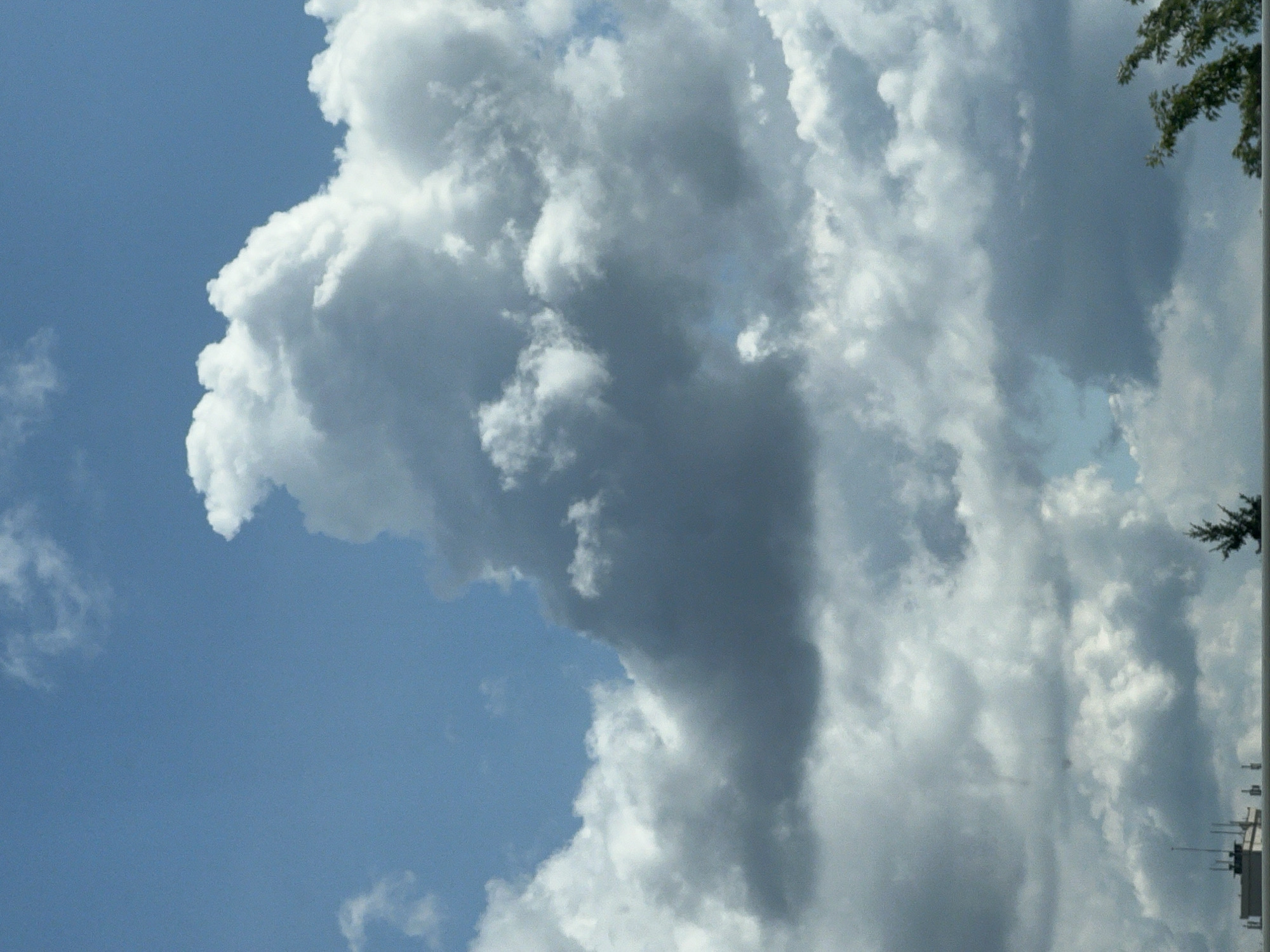 The image is a vertical, medium-distance shot of a cloudy sky over a cityscape. The sky is a vivid blue in the upper portion and is filled with various types of clouds, from wispy cirrus to large, dense cumulus clouds that are dark grey and white. In the lower part of the image, a horizontal structure, possibly a rooftop or a railing, stretches across the frame. On the left side, a modern, light-colored building with multiple antennas and protrusions is visible. To the right of the building, a small, dark green evergreen tree stands prominently. The overall scene suggests a view from a higher vantage point looking up at the sky and down at a section of a city, possibly Warsaw, Poland.