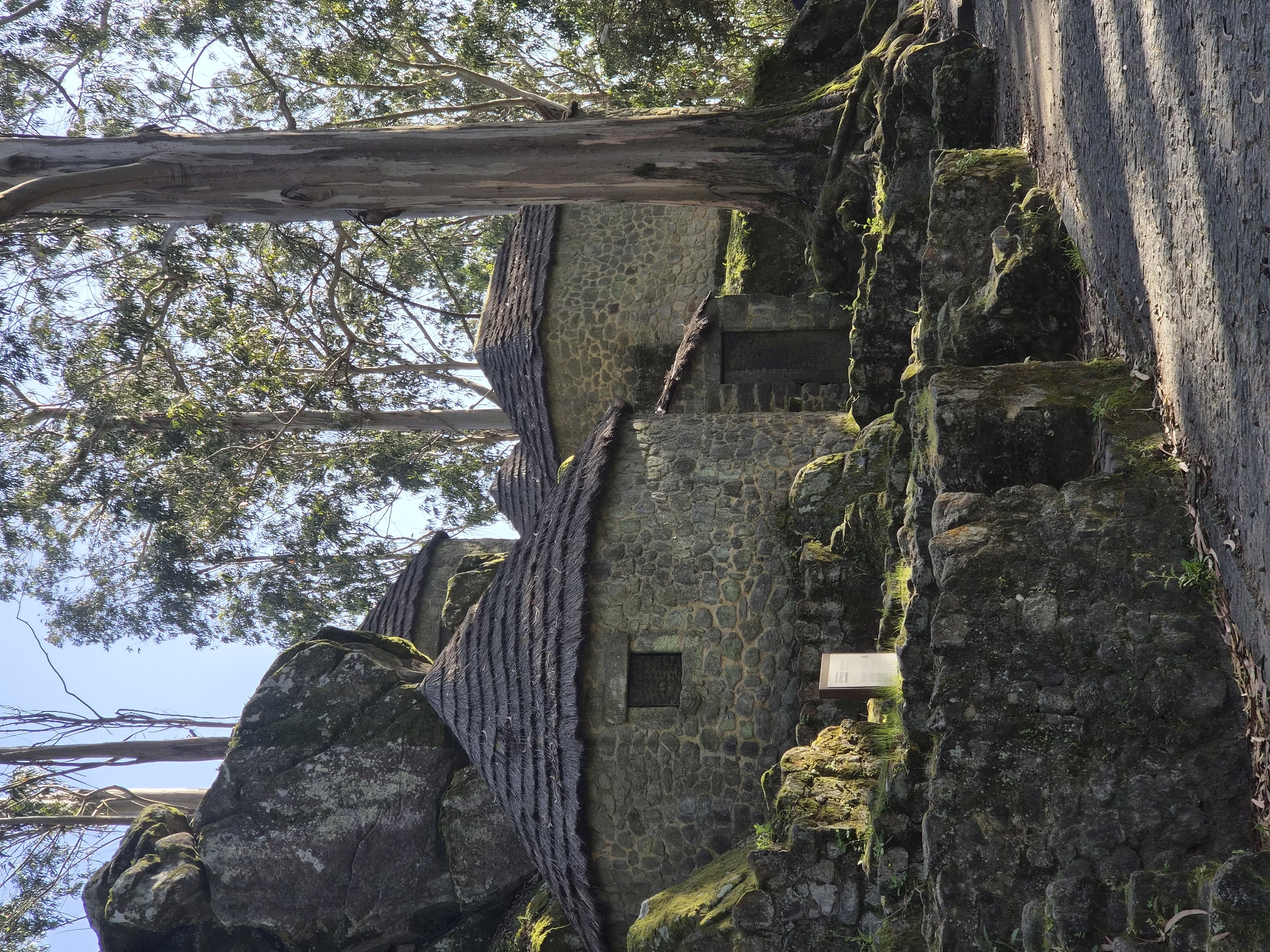 The image shows a stone building with thatched roofs built into a rocky outcrop in Esposende, Portugal. Trees overhang the building. There is a stone path running along the right side of the structure. Some moss grows on the rocks.