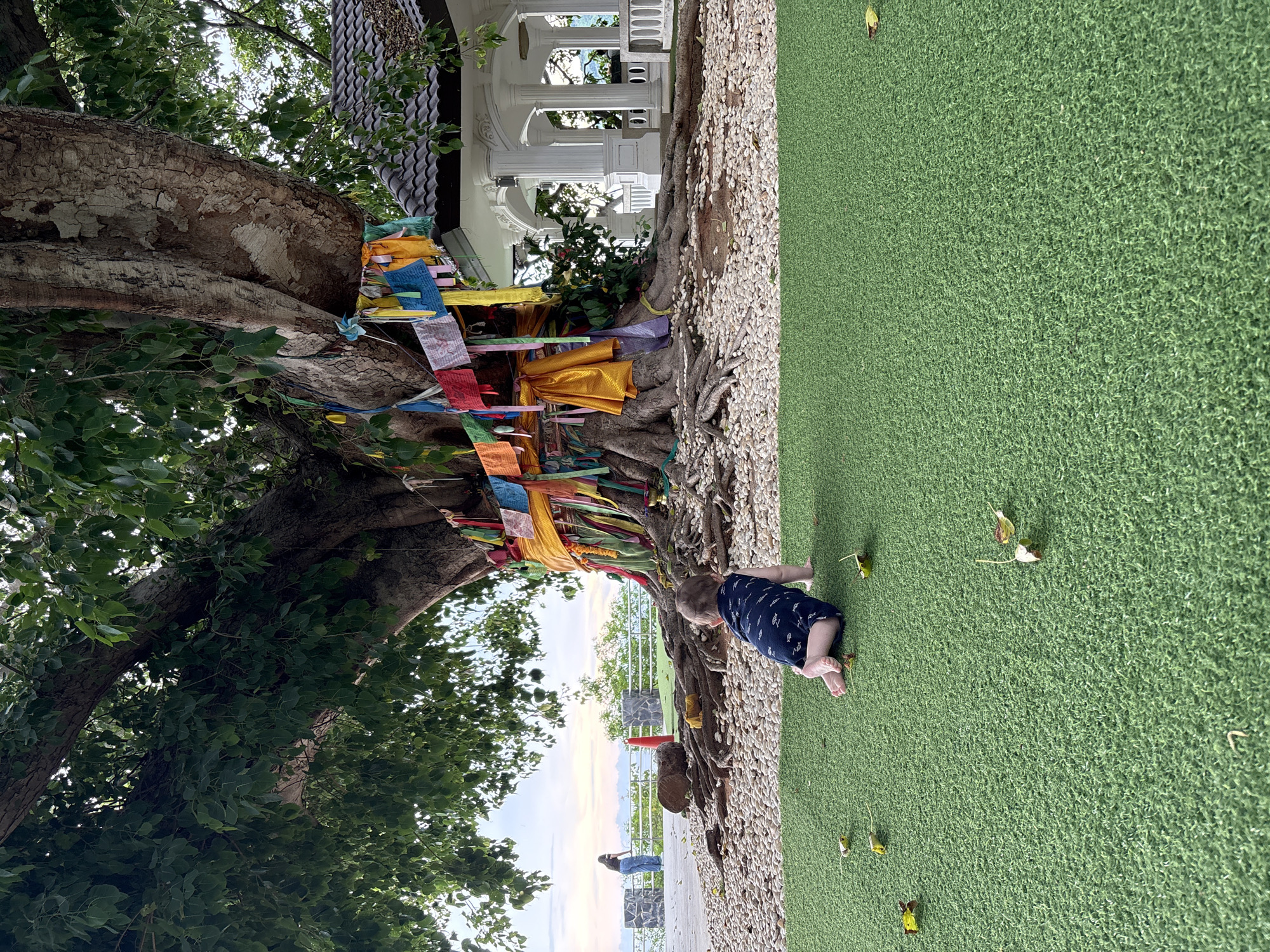 The image depicts a baby crawling on a bright green, artificial turf surface. The baby is wearing a dark blue romper with a white fish pattern. Behind the baby, a large, old tree with exposed roots is visible. Colorful fabric strips are draped around the tree's trunk and branches, suggesting it may be a sacred or culturally significant tree. At the base of the tree, there are white pebbles. To the right of the tree, a white, open-sided structure with pillars and a dark roof is present. In the background, a woman is standing near a railing, looking out at a body of water and the horizon, under a cloudy sky. The scene appears to be an outdoor location, possibly a park or viewpoint. This is a scene in Rawai, Thailand, given the presence of the sacred tree and the tropical environment.