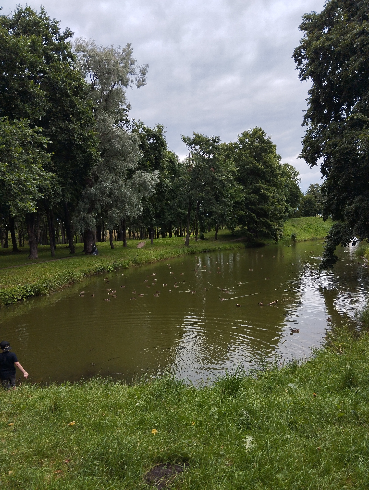 A body of water, possibly a canal or river, runs through a park-like setting with lush green grass and mature trees. The water is murky green and reflects the overcast sky. Numerous ducks are visible swimming on the water's surface. On the grassy bank in the foreground, a person wearing a black t-shirt and shorts is standing with their left arm extended towards the water. The person is facing away from the camera. In the background, a path winds through the trees, and a person in a blue shirt is seated on the grass. The scene is consistent with a park in Kingisepp, Russia, during a cloudy day.