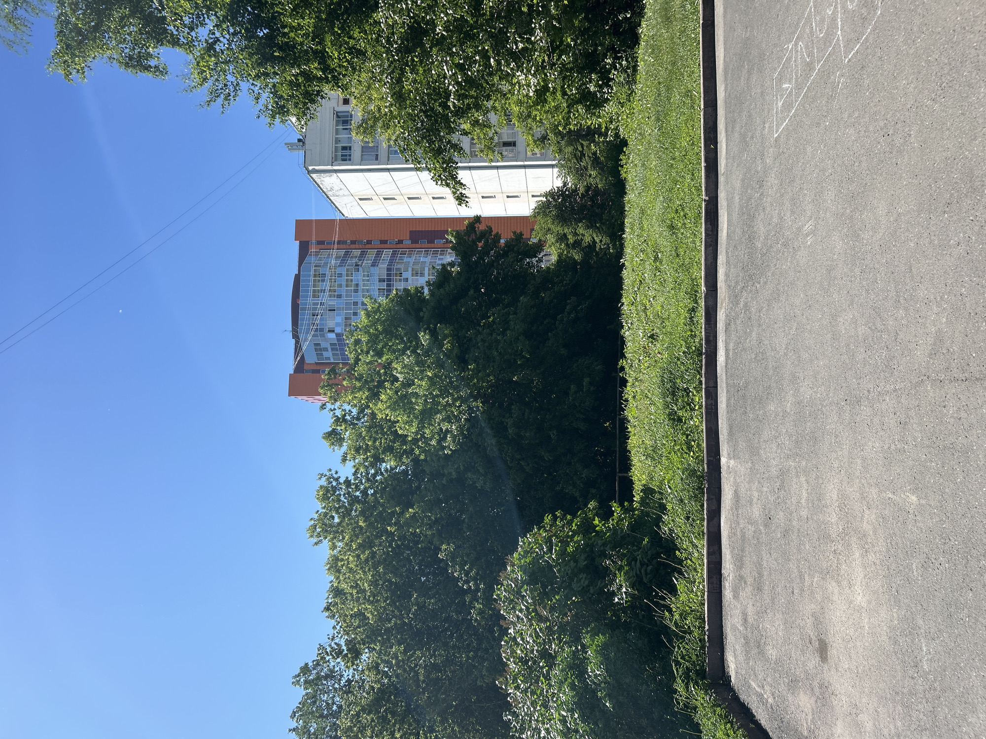 The image shows a bright, clear blue sky above a cityscape. Two tall buildings are visible in the background, one with an orange facade and a glass-covered top, and another white building with a grid of windows. Lush green trees and foliage partially obscure the buildings. In the foreground, there is an asphalt surface, possibly a parking lot or playground, with a hopscotch grid drawn in chalk. A strip of green grass separates the asphalt from the trees. The scene is bathed in sunlight, indicating a daytime setting. There are no people visible in the image.