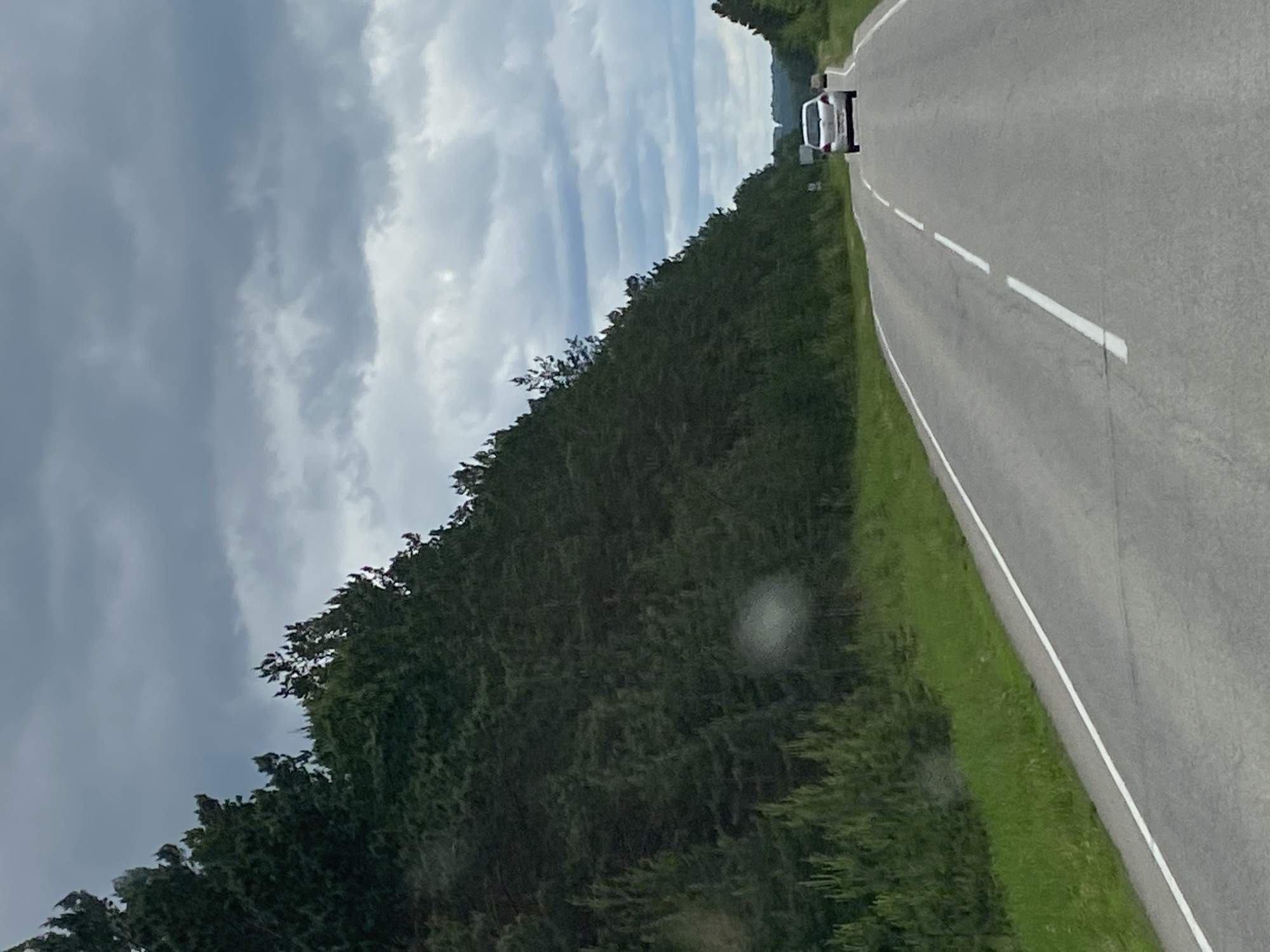 A silver car is driving on a paved road with white lane markings. The road curves to the right and is bordered by a dense forest of dark green pine trees on the left. The sky is overcast with heavy, grey clouds. The road appears to be in a rural or suburban area, possibly in Belorechensky, Russia, given the presence of pine trees which are common in that region. The weather appears to be a cloudy day.