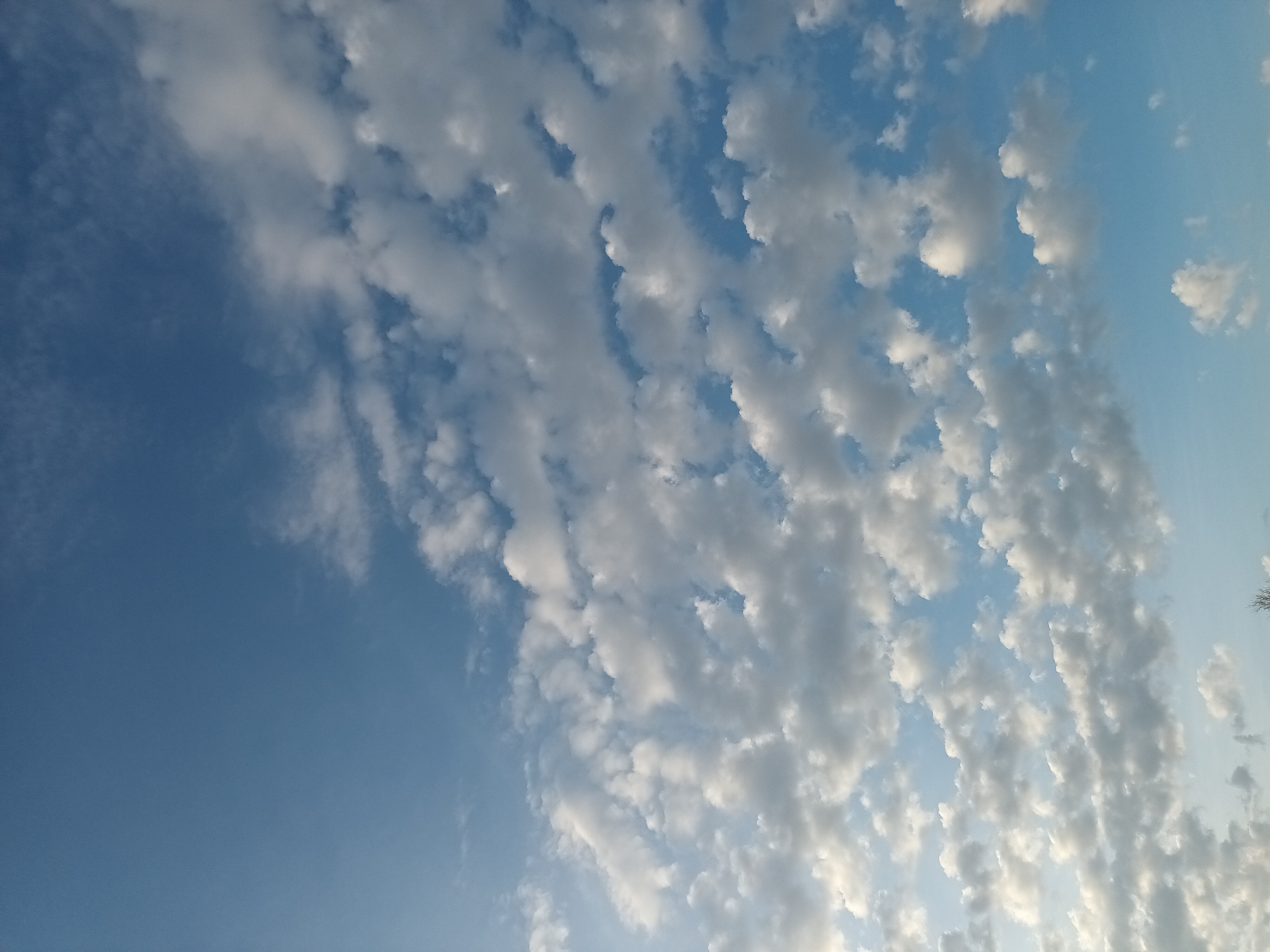 The image shows a daytime sky with a mix of clear blue and cloud cover. The left side of the image is predominantly a deep blue, while the right side features a large patch of altocumulus clouds that appear white and puffy. The image appears to have been taken looking upwards. The location in the city of Ольховка, Russia is assumed based on the request, but not confirmed by the image.