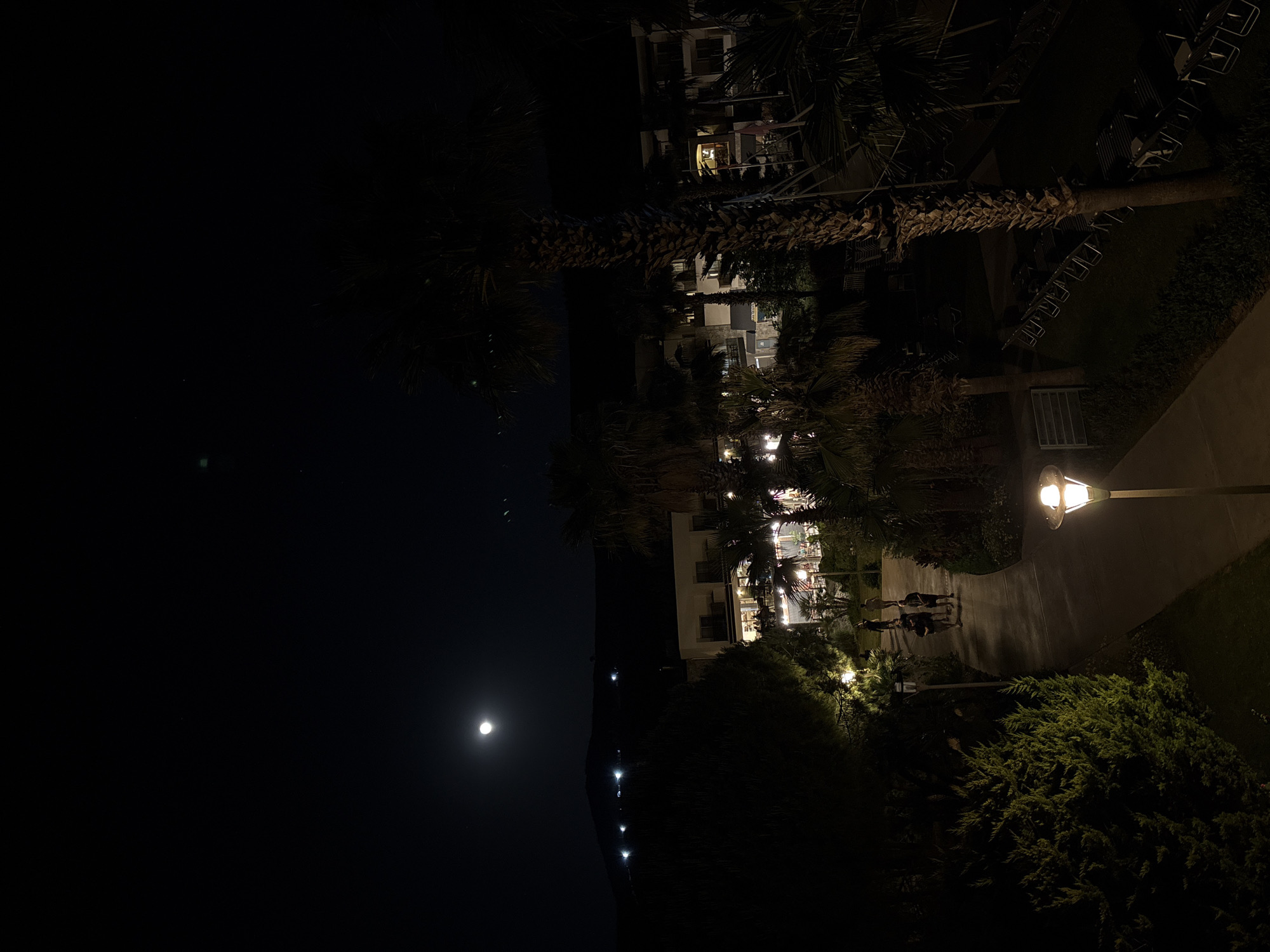 The image depicts a tranquil nighttime scene at what appears to be a resort or hotel complex in Selçuk, Turkey. The sky is deep black and clear, dominated by a bright, glowing full moon in the upper left portion of the frame. Below the moon, on the distant horizon, several small, distinct lights are visible, possibly reflecting on a body of water such as the sea, or indicating a distant settlement along a coastline.
The central and right areas of the image showcase multi-story buildings, some with illuminated windows and balconies, suggesting occupancy. The grounds are richly landscaped with numerous tall palm trees and dense green shrubs, creating a lush, tropical ambiance. A paved pathway, lit by artificial light, winds through the complex. A small group of three to four individuals is seen walking along this path, their figures silhouetted against the light.
A prominent street lamp in the mid-right foreground casts a bright glow, illuminating a section of the pathway and nearby foliage. Additional light sources emanate from the buildings and other, more distant street lamps, creating pockets of warmth amidst the darkness. In one area, rows of empty sun loungers or chairs are visible on a grassy lawn, characteristic of a holiday resort. The overall atmosphere is serene and calm, capturing the essence of an evening stroll. No visible text is present in the image.