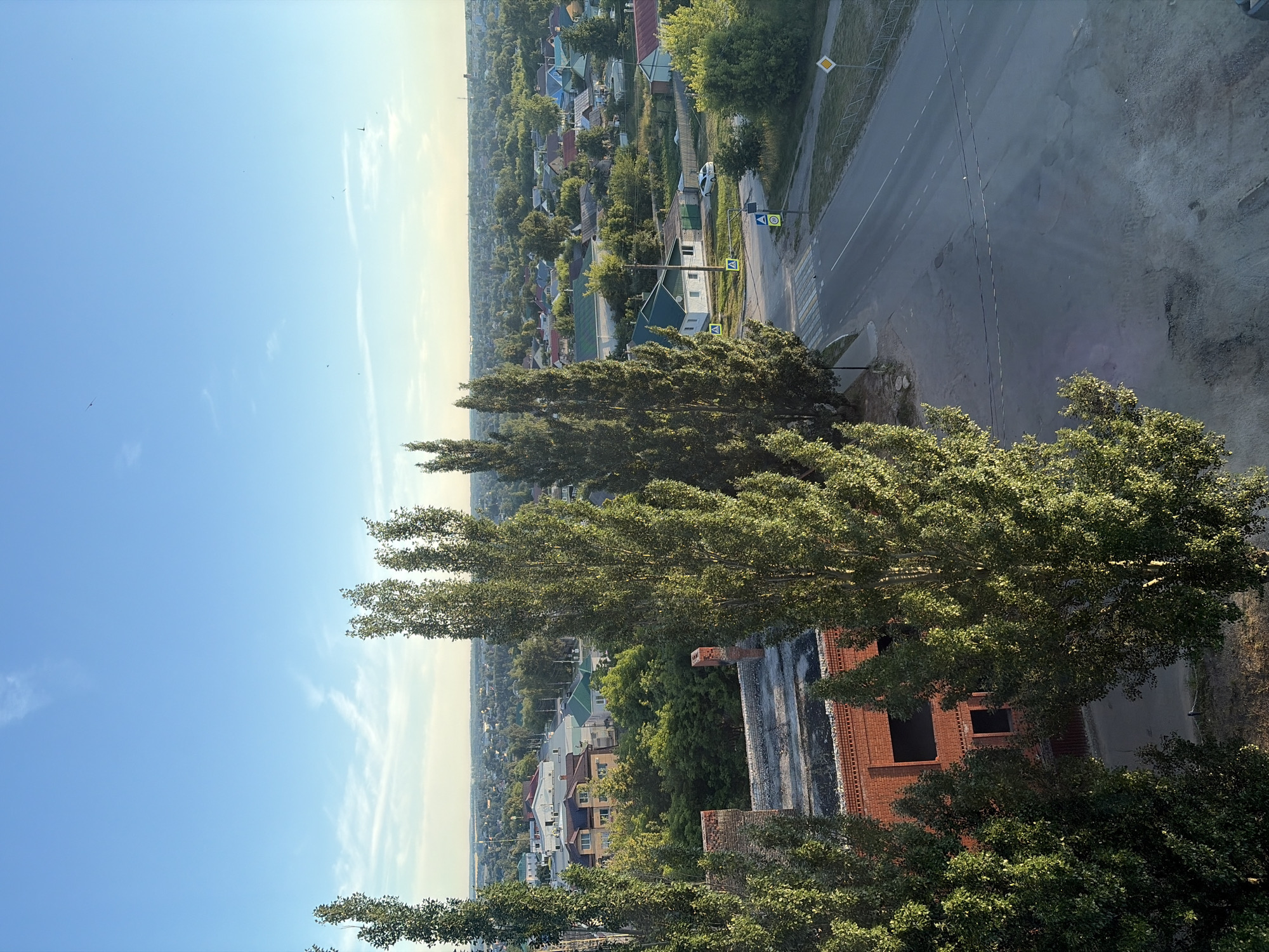 The image captures a residential area in Skopin, Russia, under a clear blue sky with sparse, wispy clouds. In the foreground, tall, slender trees with lush green foliage dominate the left side of the frame and extend into the middle. To the right of the trees, an unfinished brick building with visible window frames is present.
A paved road runs through the scene, intersecting a pedestrian crossing marked with white stripes. Road signs are visible, including a yellow diamond-shaped sign with a black border and a black symbol, as well as a circular sign with a red border and a blue symbol. A white car is parked on the right side of the road, near a small white house with a green roof. Numerous other houses with various colored roofs and surrounded by trees are scattered throughout the middle and background of the image, indicating a suburban or small-town environment. The overall scene is one of a quiet, sunlit day in a Russian town.