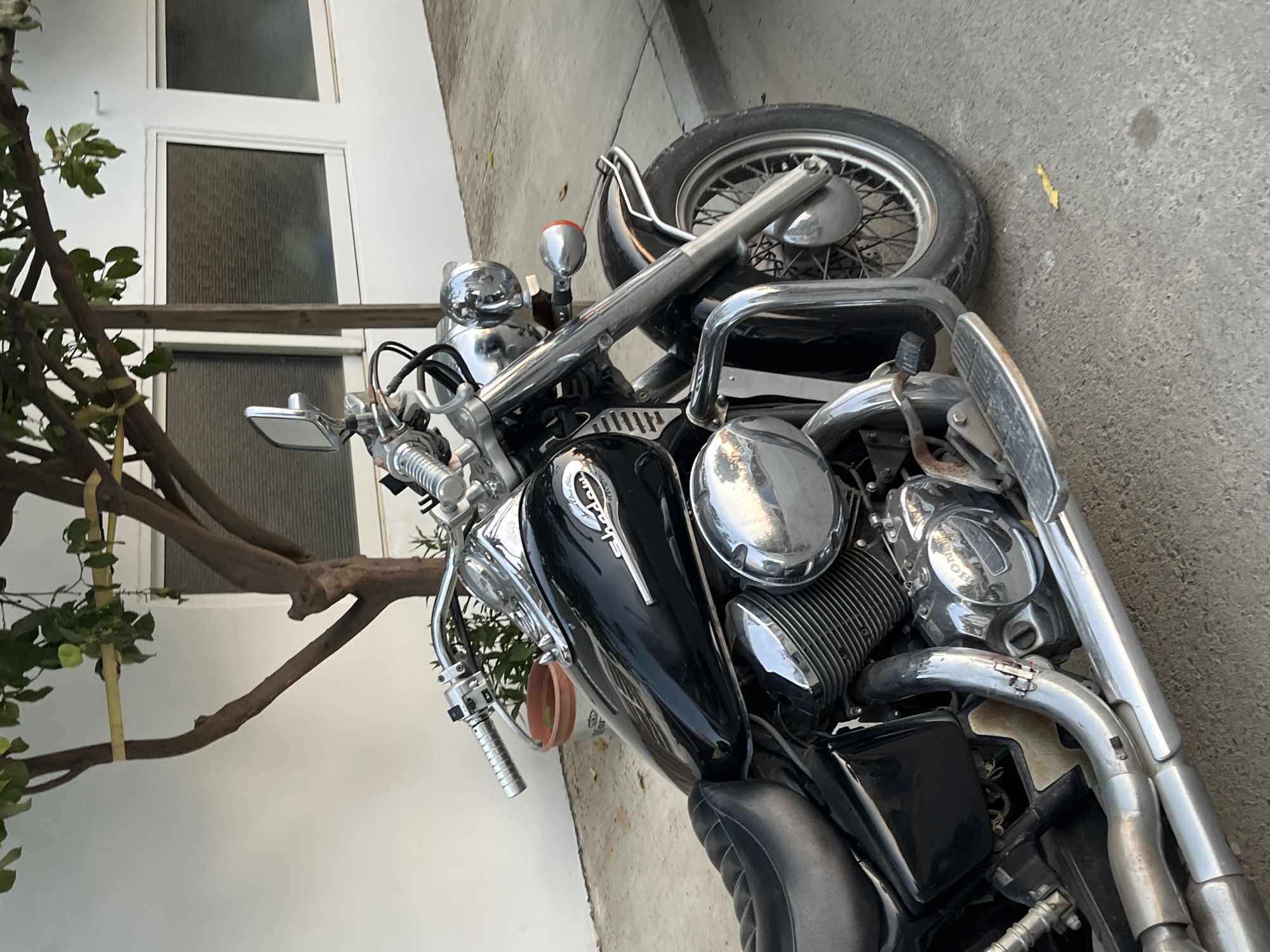 A black Honda Shadow motorcycle is parked outdoors on a concrete surface, possibly a sidewalk or street, in front of a white building with two large, horizontally oriented windows with frosted glass. The motorcycle is angled towards the viewer, showcasing its chrome accents, black leather seat, and V-twin engine. A small tree with green leaves and a yellow tie on one of its branches is positioned behind and to the left of the motorcycle, with its trunk visible. The environment suggests a Mediterranean climate, consistent with Limassol, Cyprus. There are no people visible in the image.