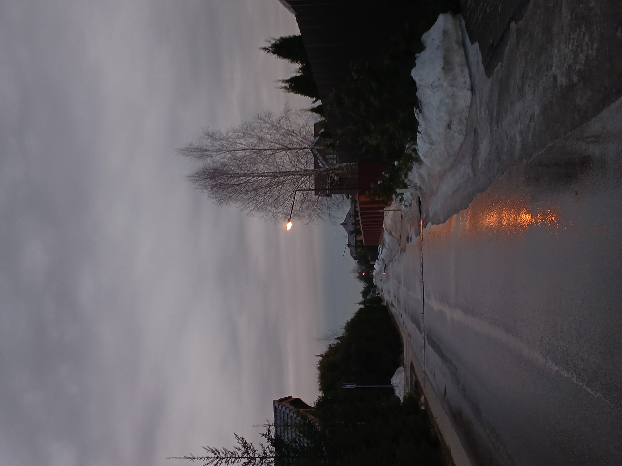 Here is a description of the image:
The image shows a street in Unknown, Unknown. The scene is set on a cloudy day, with a layer of snow and ice covering the ground, particularly along the roadside. The street is wet and reflects the light. A street lamp is illuminated, casting a glow onto the road. Bare trees line the street, alongside houses and fences.