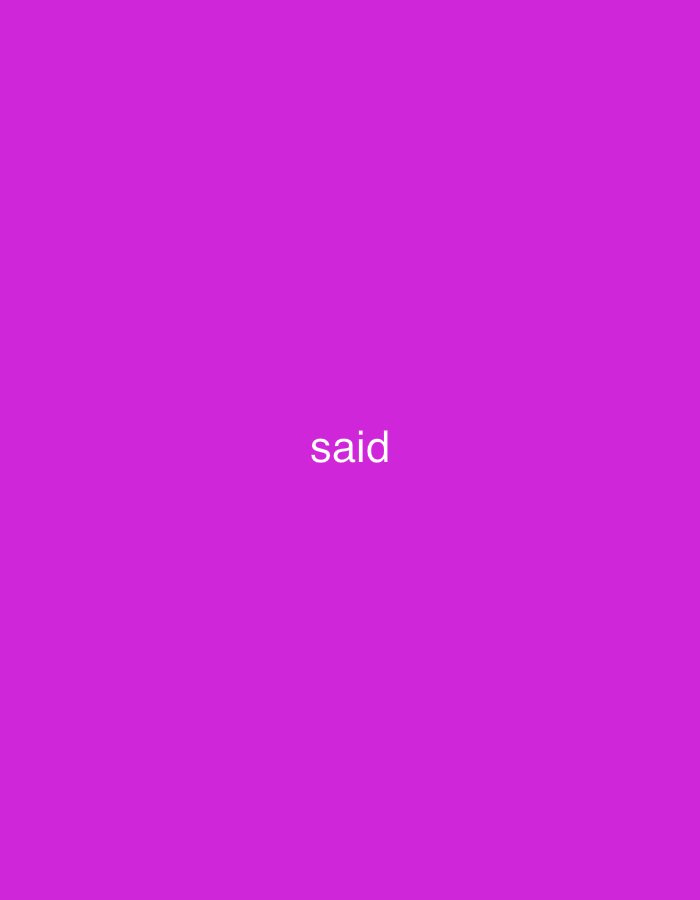 The image displays a uniform magenta-colored background. Centered horizontally and vertically on this background is the word "said," rendered in a plain white, sans-serif typeface. No other elements, figures, objects, or environmental details are present in the image. There are no discernible features to indicate a specific geographic location, including the city of Casablanca, Morocco.