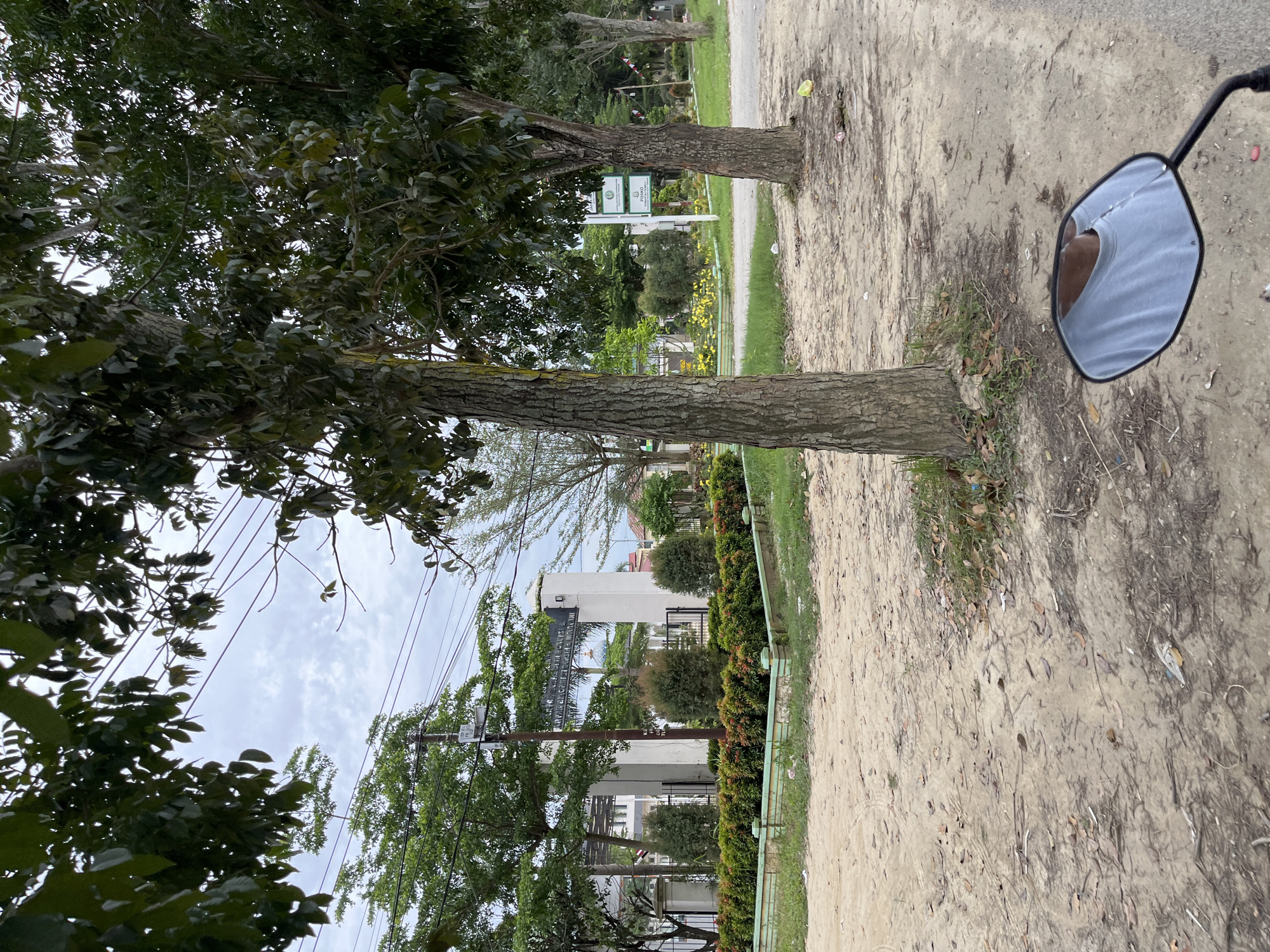 The image shows a street scene in Bundar, Indonesia, on a cloudy day. In the foreground, a dirt road is visible with scattered leaves and a piece of plastic litter. A motorcycle handlebar and mirror are reflected in the lower right corner, showing the shoulder and neck of a person wearing a light blue t-shirt.
To the left of the road, a manicured garden bed with green and reddish-orange foliage lines a low wall. Behind this, a white gate structure with pillars stands, possibly an entrance to a complex or housing. A sign is affixed to one of the pillars, but the text is illegible. Several trees with rough bark and green leaves are scattered throughout the scene, some lining the road and others further in the background. Behind the gate, buildings with white walls and dark roofs are visible, along with more trees and a dome-shaped structure.
Further down the road on the right, another tree with similar bark and foliage stands. Beyond that, a light green signpost with two green rectangles containing white symbols is visible, followed by more trees and a white building with a red and white flag. The background features a cloudy sky with some power lines visible. The overall environment appears to be a semi-urban or suburban area.