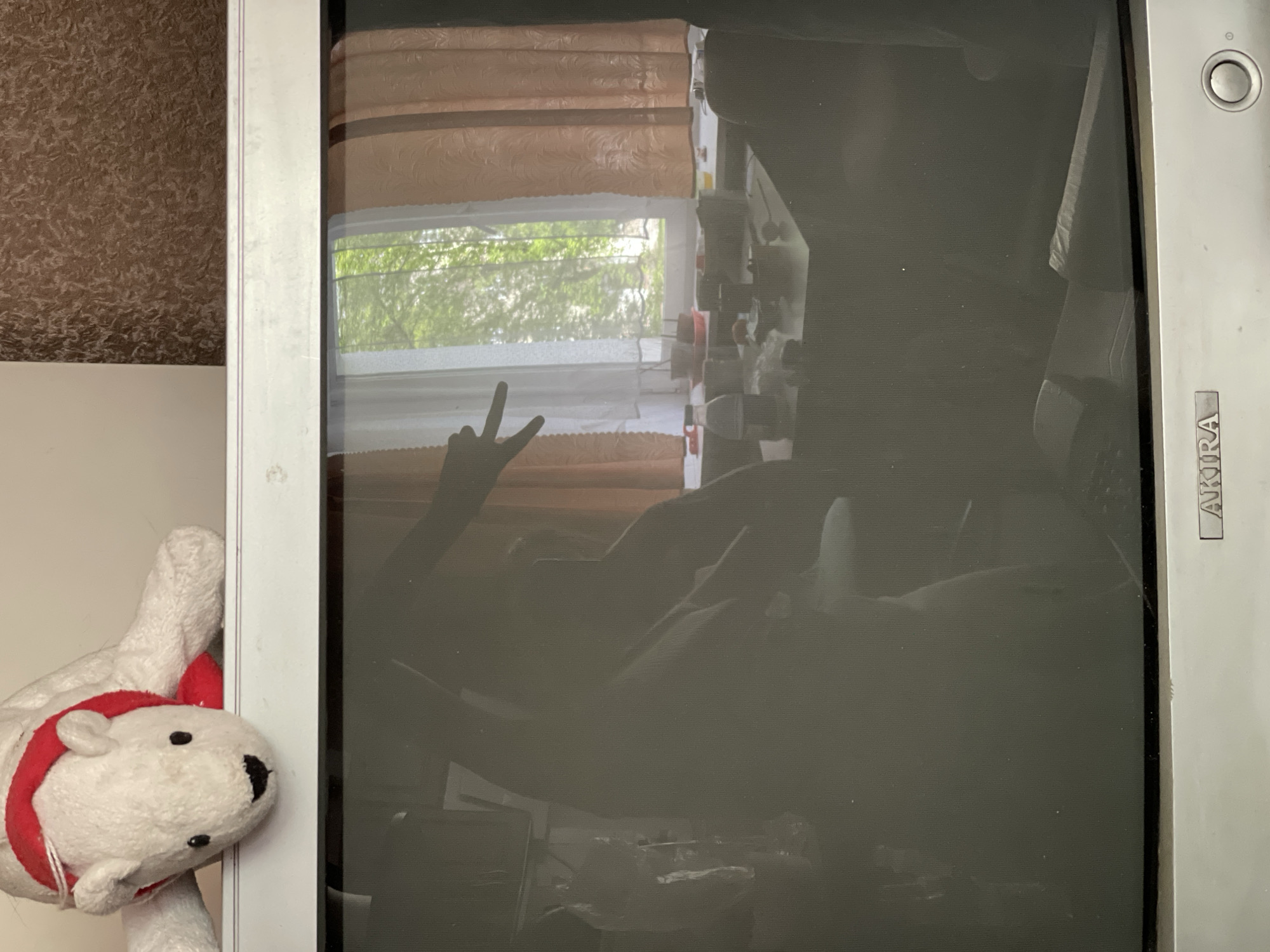 The image shows a blurry reflection in an old CRT television screen. The reflection includes a window with drawn blinds, trees visible through the window, and a person making a peace sign. A polar bear plush toy is partially visible on the left side of the television. The television is an Akira brand. There is insufficient information to confirm the location in Zheleznogorsk, Russia.
