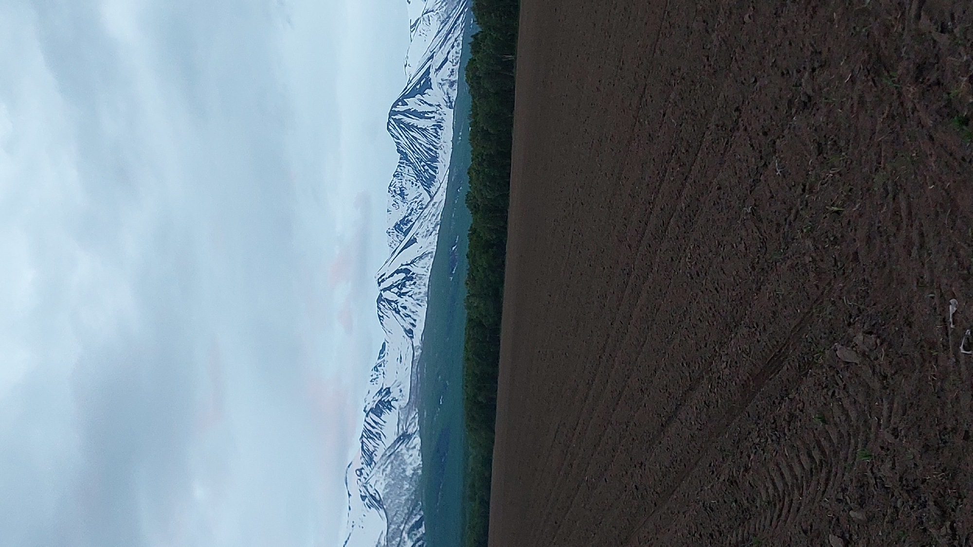 The image shows a wide, brown, plowed field in the foreground. The soil has visible tire tracks from a vehicle. In the middle ground, a dense line of dark green trees forms a forest. Beyond the trees, a range of majestic, snow-capped mountains stretches across the horizon, their peaks sharply defined against a cloudy, pale blue sky. The overall scene depicts a rural landscape under an overcast sky. The image is likely a photograph taken in the city of Lesnoi, Russia, given the prompt's context.