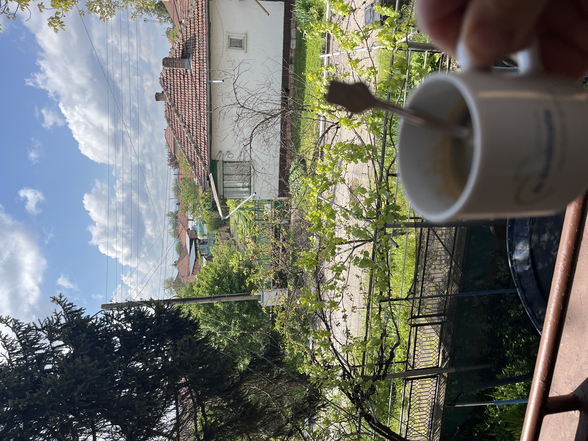 The image shows a view from a balcony, likely in a residential area of Levski, Bulgaria. A white mug with a spoon inside is held in the foreground, partially obscuring the view. The background reveals a neighborhood scene with houses featuring red-tiled roofs. A white, two-story building with a window is visible, surrounded by trees and greenery. A paved path or road leads through the trees. Power lines stretch across the sky, which is partly cloudy. A trampoline is visible on the balcony. The overall impression is a casual, domestic scene.
