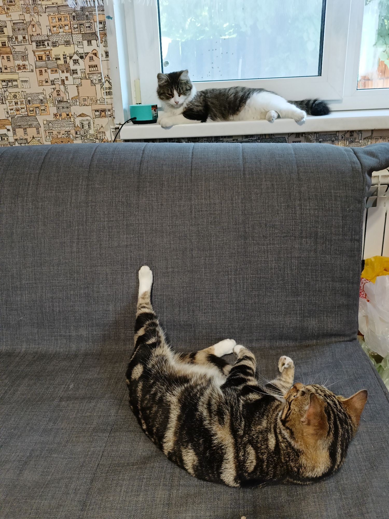 In a domestic indoor setting in Lagovskoe, Russia, two cats are the subjects of this image. One cat, a tabby and white breed, is resting on a white windowsill against a backdrop of a patterned curtain depicting a village scene. The cat is lying on its side with its head down, appearing relaxed. Next to it on the windowsill is a small, turquoise electronic device.
Below the windowsill, on a dark gray sofa, another tabby cat is lying on its back in a playful pose. Its legs are extended, and it seems to be enjoying the comfortable surface. The room is illuminated by natural light filtering through the window, suggesting it is daytime. The overall atmosphere is peaceful and domestic, capturing a moment of leisure for the two feline companions. No visible text is present in the image.