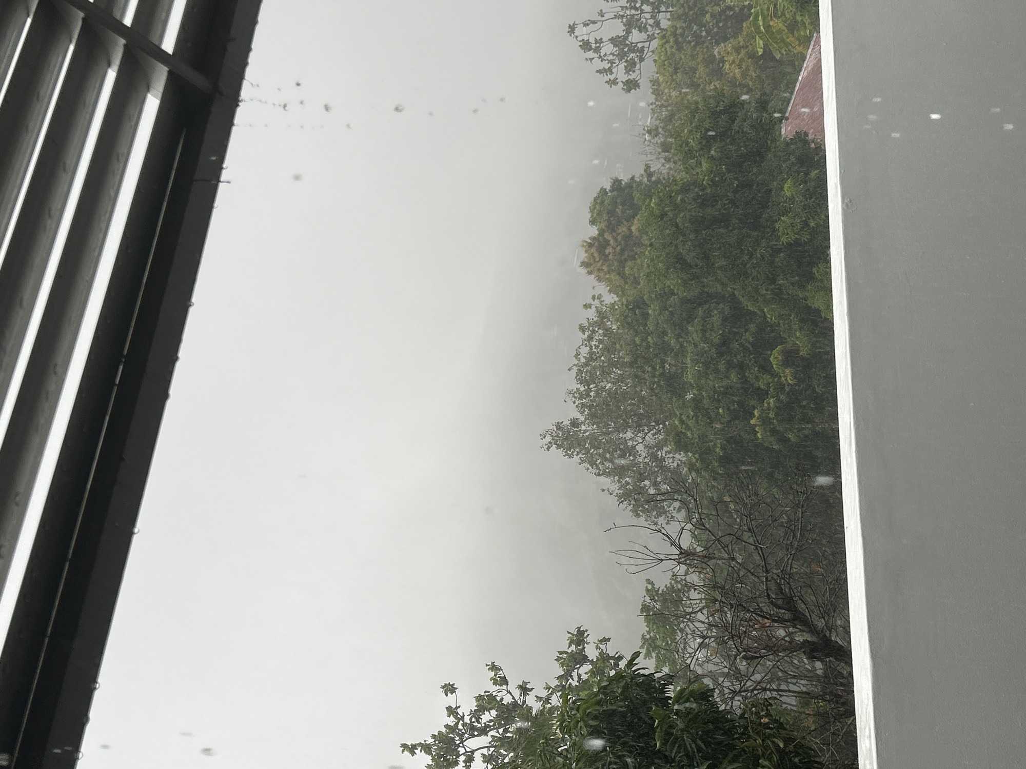 The image depicts a misty, rainy day viewed from an elevated vantage point, likely a balcony or covered patio, looking out over a dense, green, tropical landscape. The foreground is dominated by a white railing that stretches horizontally across the bottom of the frame. Above the railing, a roof structure with dark, horizontal slats extends from the top of the image, with visible water droplets falling from its edge.
The middle ground is filled with a variety of trees, their foliage a deep green, some with bare branches interspersed. A hint of a reddish-brown roof is visible through the trees on the right side of the image, suggesting a residential area.
The background is obscured by a thick mist or fog, rendering distant features indistinct. The sky is a uniform, overcast grey, consistent with rainy weather. The overall impression is one of a subdued, natural environment enveloped in atmospheric conditions. The image does not contain any people or clear indications of urban structures beyond the glimpsed roof. The scene is evocative of a tranquil, possibly remote location within Port Moresby, Papua New Guinea, where tropical weather patterns are common.