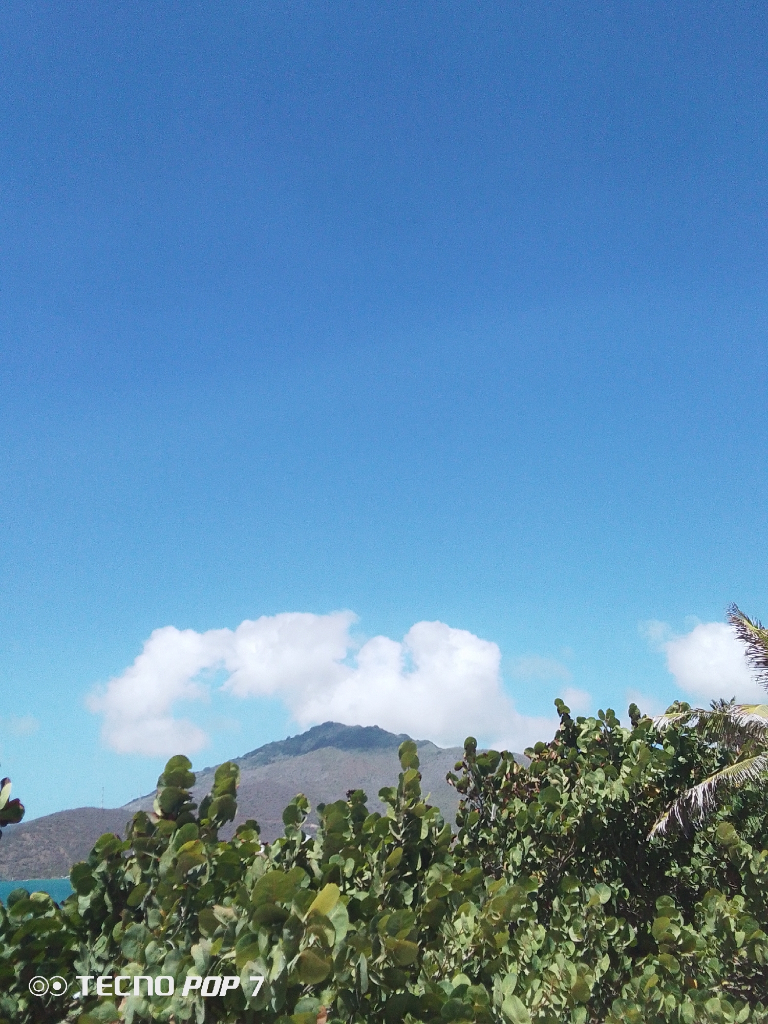 The image shows a clear blue sky above a landscape in Pedro González, Venezuela. A low mountain range is visible in the mid-ground, partially obscured by puffy white clouds. In the foreground, dense green vegetation, likely trees or shrubs, fills the lower portion of the frame. The vegetation is the primary subject, obstructing a full view of the mountain.