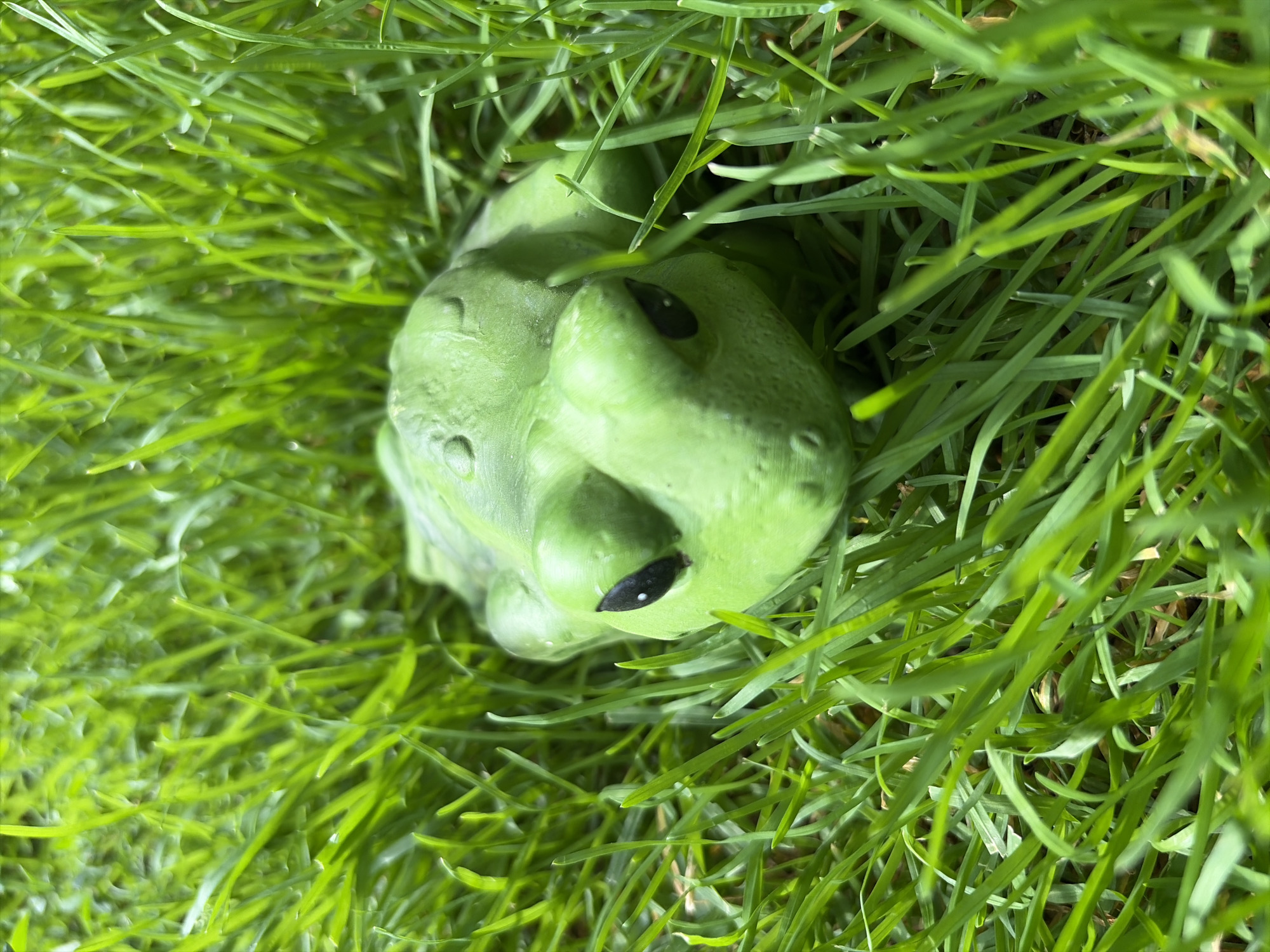 A close-up, eye-level shot features a green ceramic frog figurine nestled amongst lush green grass. The frog, facing slightly left, has visible black eyes and textured skin with small raised bumps on its back. The grass is vibrantly green and appears well-watered, with some blades catching the sunlight. The background is entirely filled with this dense grass, creating a shallow depth of field that blurs out any further details. The scene is set in Oxentea, Moldova.