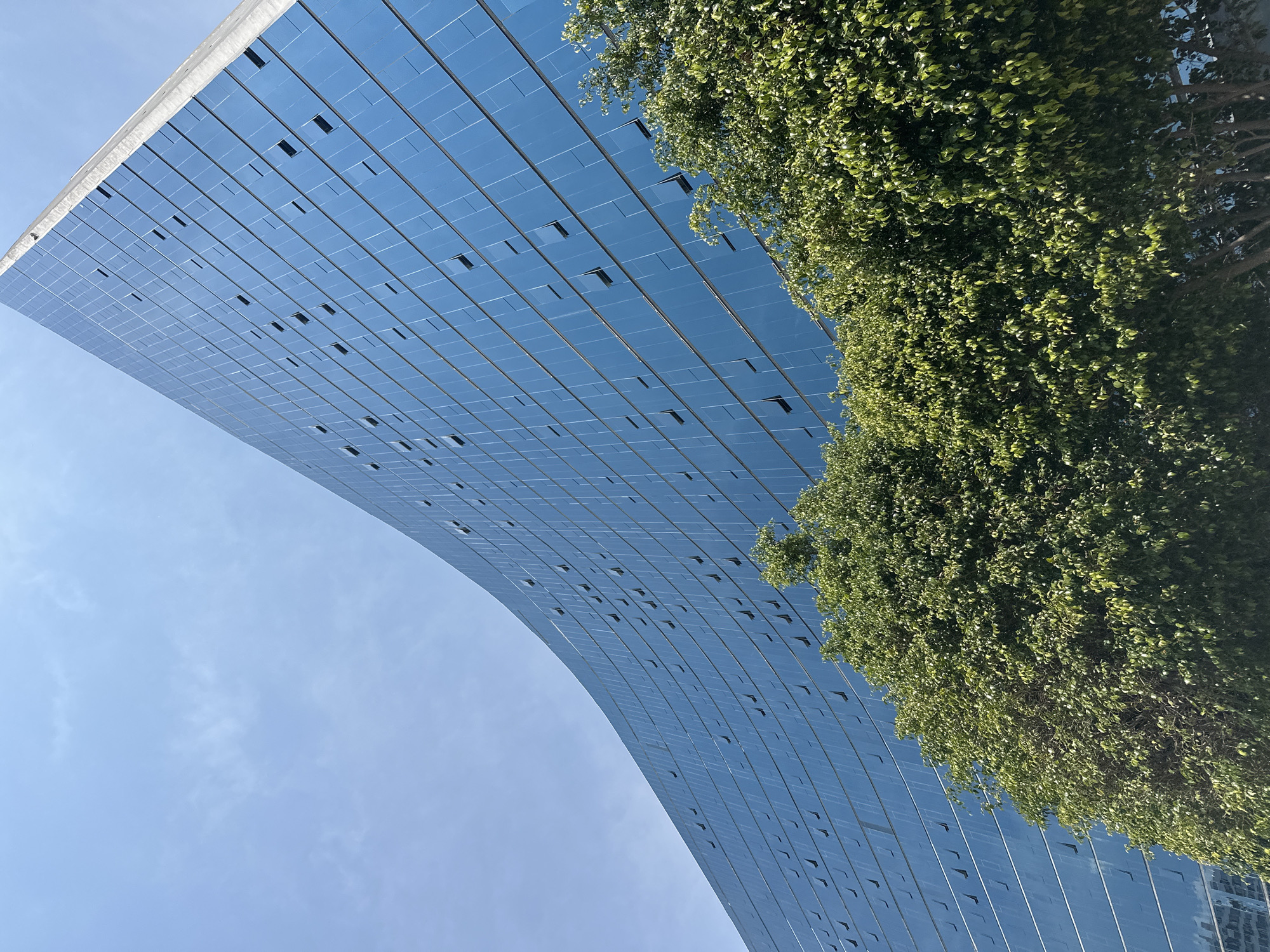 A worm's-eye view captures a modern, curved building with a highly reflective, blue glass facade against a clear blue sky. The building dominates the left and center of the frame, arcing upwards and towards the left. Its surface consists of numerous rectangular glass panels, many of which feature small, dark, rectangular openings or vents arranged in a grid-like pattern. The reflective facade mirrors the bright blue sky, creating a uniform, expansive blue surface.
To the right, a dense mass of vibrant green foliage from a tree contrasts sharply with the building and sky. Sunlight illuminates the leaves, highlighting their texture. The top edge of the building reveals a lighter-colored structural element, possibly concrete.
The image depicts a bright, clear day with ample natural light, suggesting pleasant weather. There is no visible human activity or discernible text. The scene offers an architectural study of the building's curved lines and reflective surfaces, juxtaposed with the organic form of the tree. This contemporary structure is located in San Bernardino Tlaxcalancingo, Mexico.