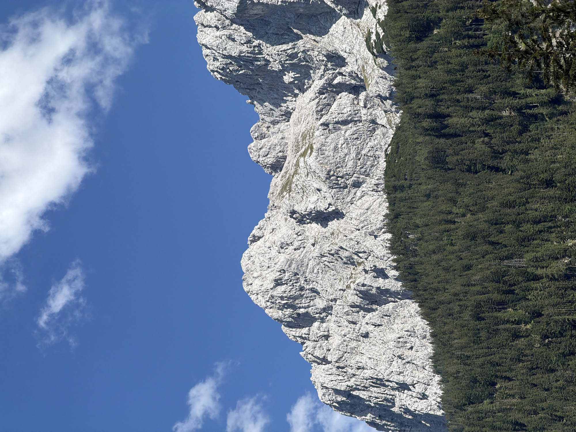 The media file displays a dramatic mountain landscape under a clear blue sky with scattered white clouds. The composition is vertically oriented, with the camera angled upwards. The prominent subject is a rugged, light-grey mountain face, characterized by sharp, textured rock formations and deep crevices. The rock appears weathered and ancient, suggesting a high-altitude environment.
To the right of the mountain, a dense, dark green forest of coniferous trees stretches up the slope, creating a stark contrast with the pale rock. The trees appear healthy and full, with the forest canopy obscuring much of the mountain beneath it. The line where the rock meets the forest is irregular and follows the contours of the terrain.
The sky dominates the left side of the image, a vibrant blue with wispy white clouds that suggest fair weather. The lighting indicates it is daytime, likely mid-morning or afternoon, with sunlight illuminating the mountain face and casting shadows that highlight its texture. There are no visible people or objects, emphasizing the natural and wild aspect of the scene.
The overall impression is one of grandeur and solitude, capturing the immense scale and raw beauty of the natural environment. The location context of Grainau, Germany, is consistent with such alpine scenery. The image evokes a sense of awe and tranquility.