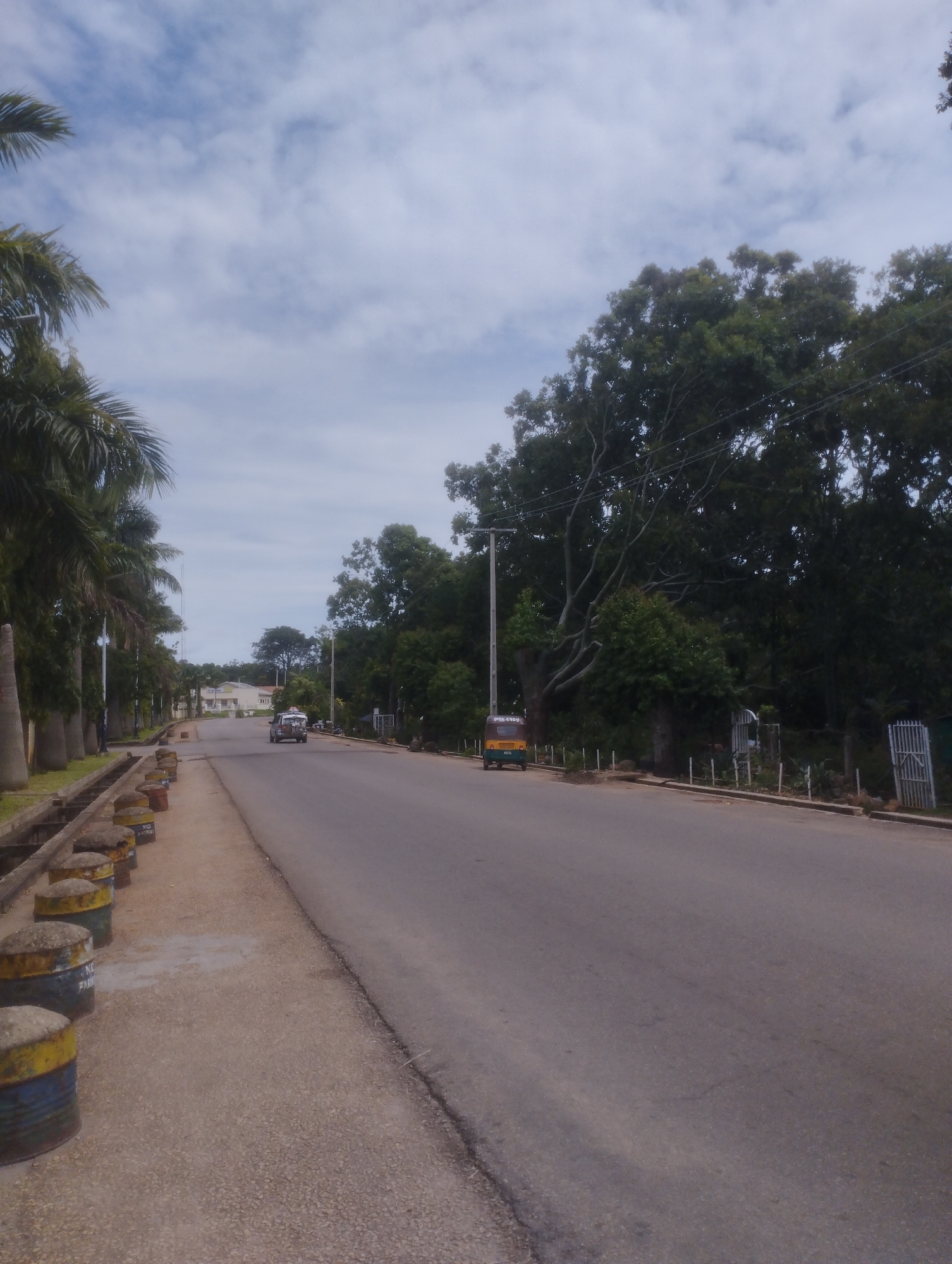 The image depicts a paved road in Jos, Nigeria, under a partly cloudy sky. The sky features scattered white clouds against a pale blue background.
On the left side of the scene, a concrete sidewalk runs parallel to the road, bordered by a concrete drainage channel. Along the edge of the sidewalk, a series of approximately eight weathered, repurposed metal barrels, painted in faded yellow and blue bands, function as bollards. Some barrels display partially legible text, including "NO PARKING." Beyond the sidewalk, a uniform row of tall palm trees with visible trunks lines the road. In the far distance on the left, a light-colored building is visible amidst the trees.
The central feature is a two-lane asphalt road, extending into the distance with a gentle curve to the left. Road markings are not visible.
Two vehicles are present on the road. A light-colored sedan is observed on the left lane in the mid-distance, moving away from the viewer. On the right side of the road, a yellow and green three-wheeled auto-rickshaw, identifiable as a "Keke Napep," is positioned facing away from the viewer. Its partial license plate "JTA-G800" and "JOS" are visible on its rear, confirming the location in Jos, Nigeria.
The right side of the road is bordered by a dense expanse of various green trees and foliage. A tall utility pole with a street lamp arm stands near the auto-rickshaw, with power lines visible extending from it. Further down the road on the right, a section of white metal fencing and a matching gate are partially obscured by vegetation.
No human figures are discernible in the image. The lighting is diffused, consistent with an overcast day.