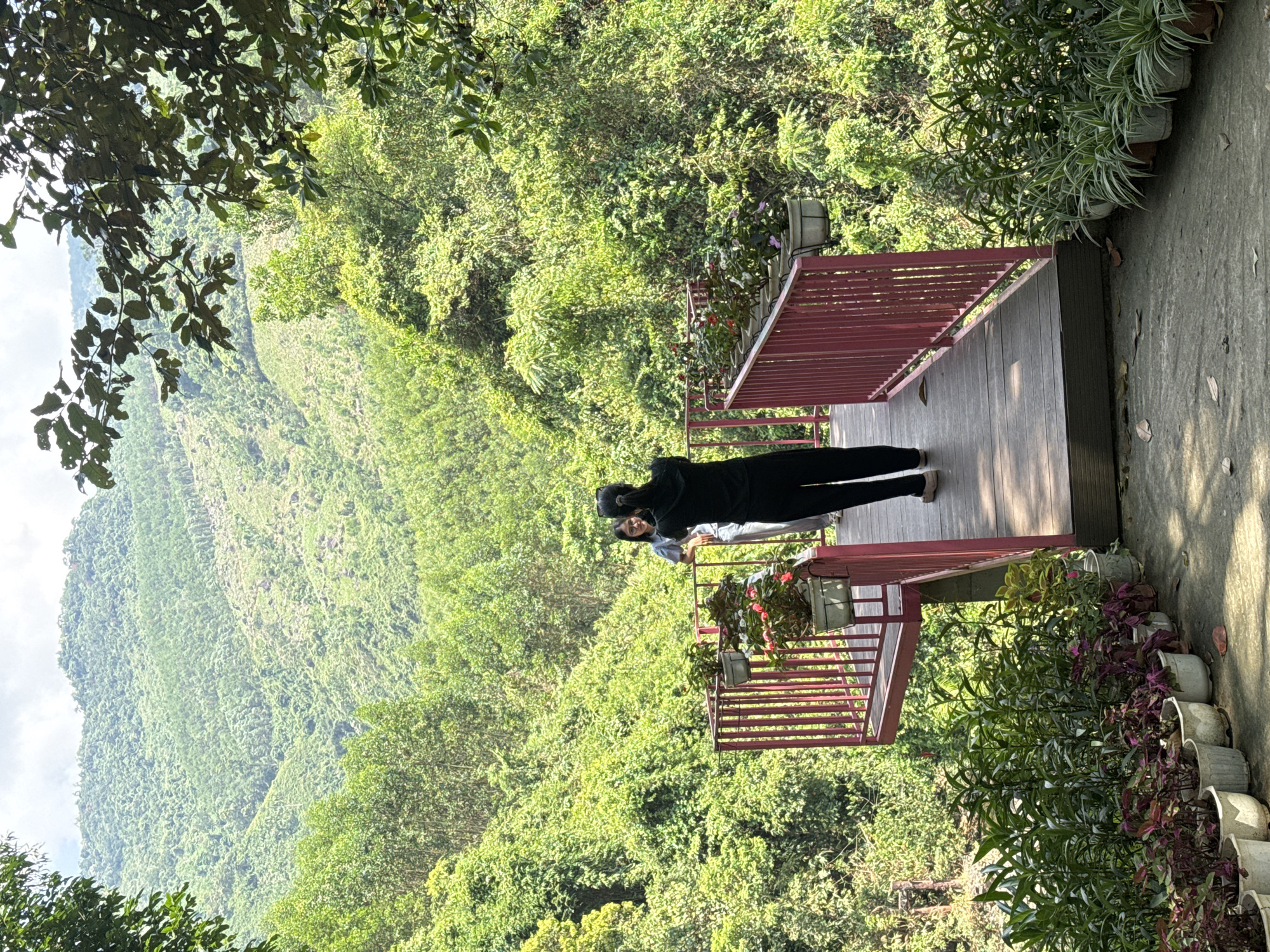 A medium shot captures a person on a wooden deck with a reddish-pink railing, situated in a lush, green mountainous landscape in Đà Nẵng, Vietnam. The person wears dark clothing and is standing, possibly looking at the view. On the deck are flower pots with flowers. Dense green vegetation covers the slopes and hills, with trees and plants filling the scene. The deck also has potted plants along its edge. Branches with leaves partially frame the image in the upper-left corner.