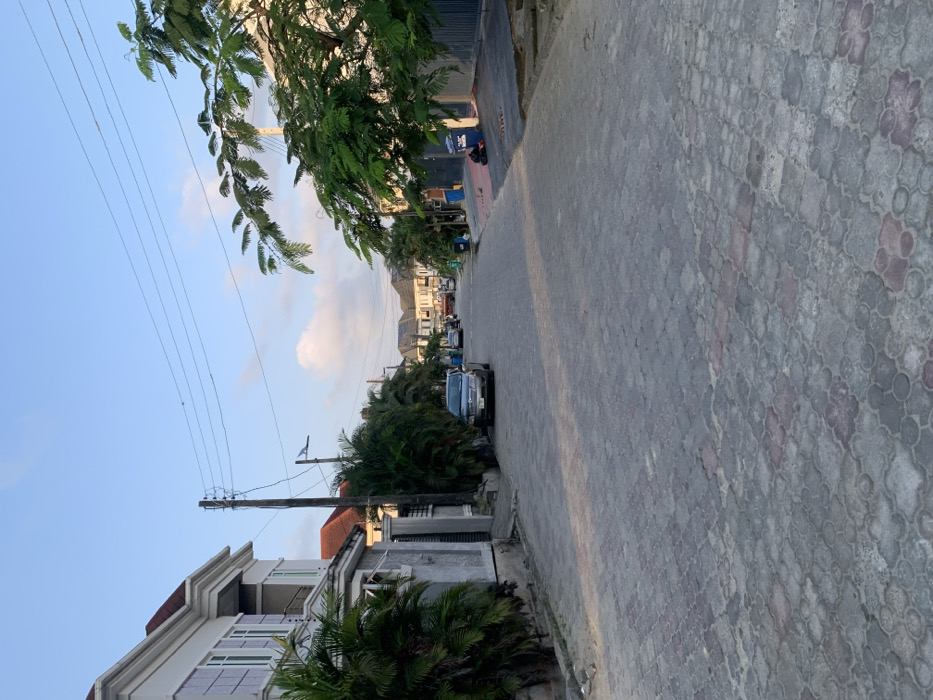 A residential street scene with patterned pavement and parked vehicles. Palm trees and other greenery line the road. Houses are visible on the left side, with a tall utility pole. Power lines stretch across the sky, which transitions from blue near the bottom to cloudy higher up. The street appears to lead towards the horizon where more buildings can be seen in the distance.